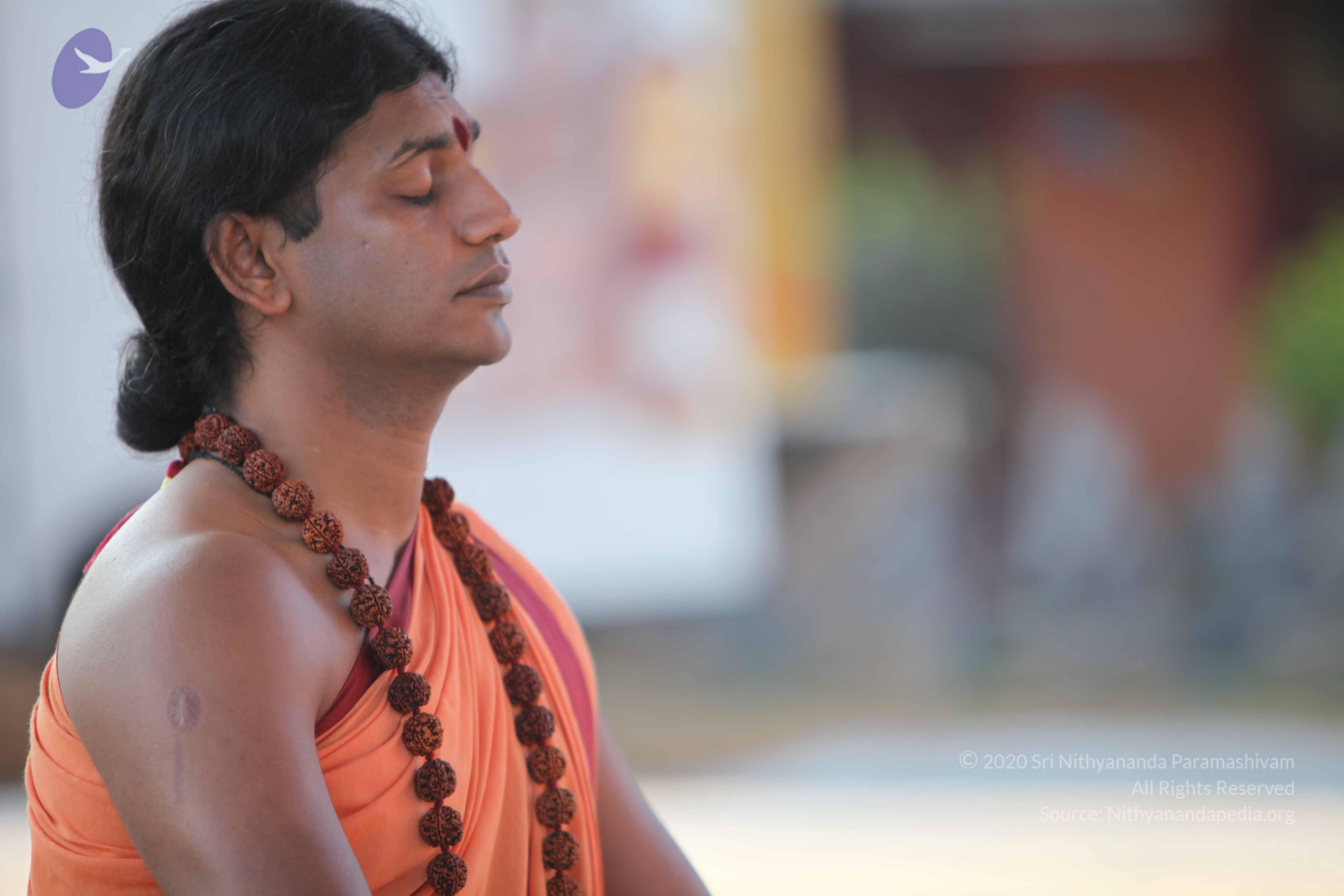 20110202_Photo_1078_IMG_3125_CMP_WM