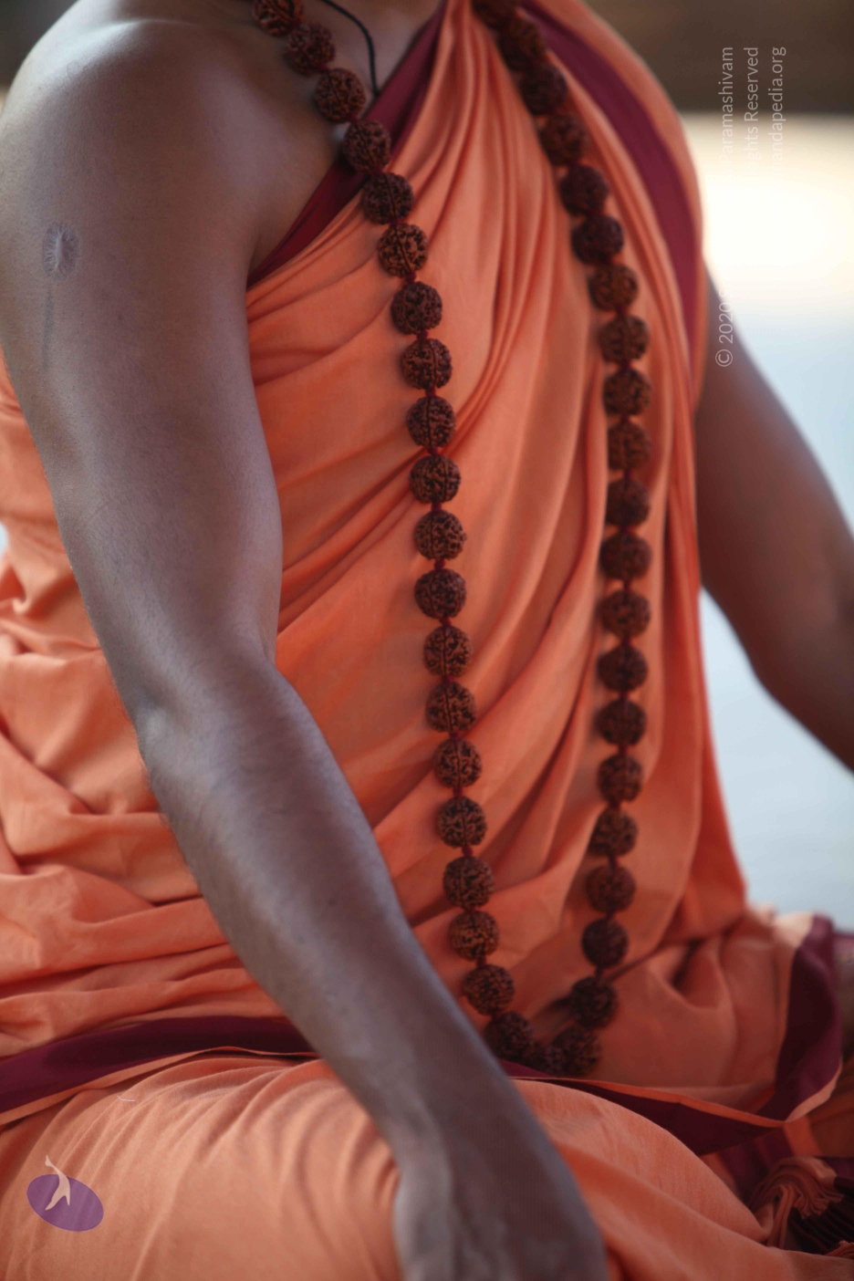 20110202_Photo_1081_IMG_3156_CMP_WM