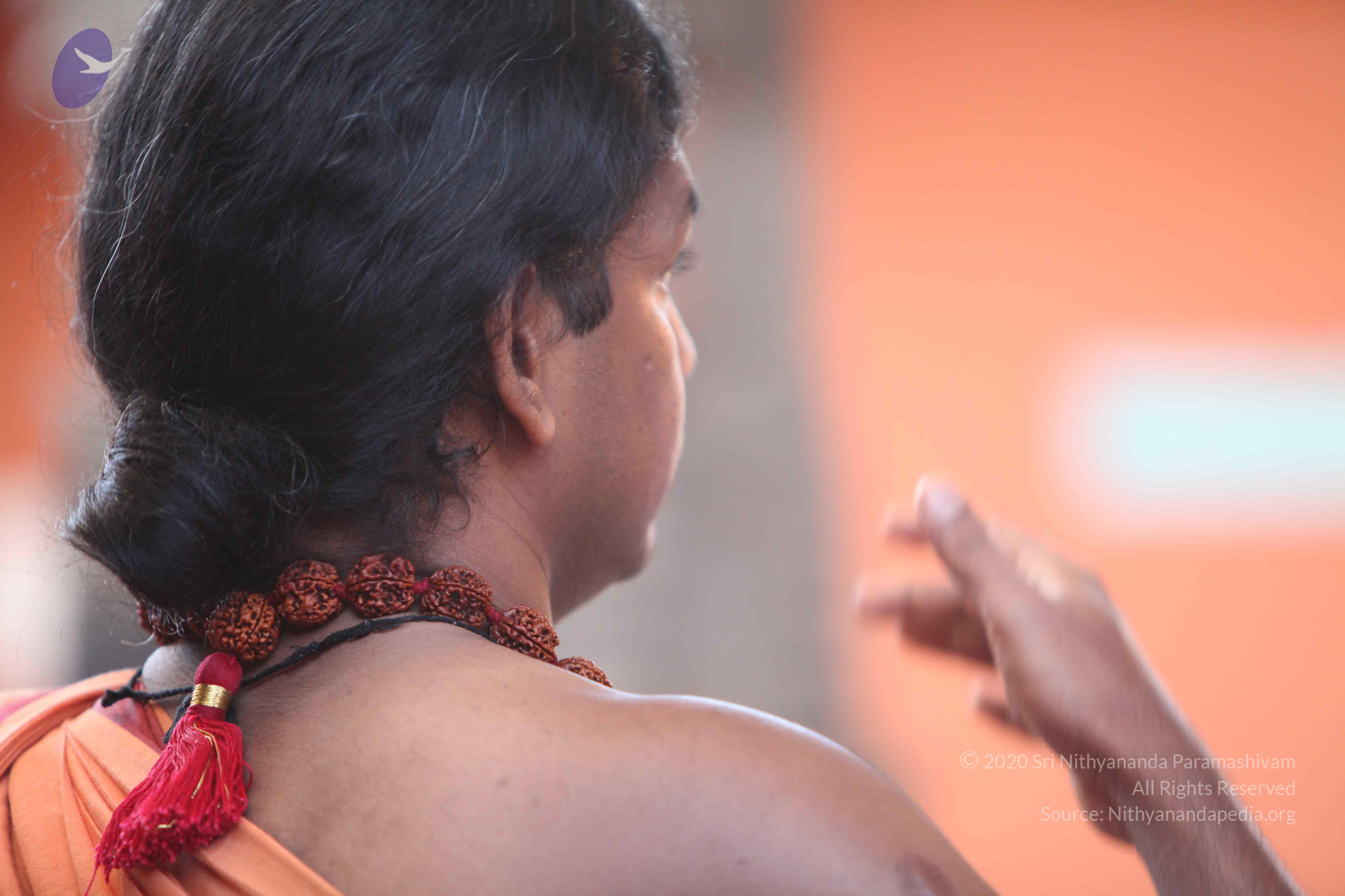 20110202_Photo_1084_IMG_3075_CMP_WM