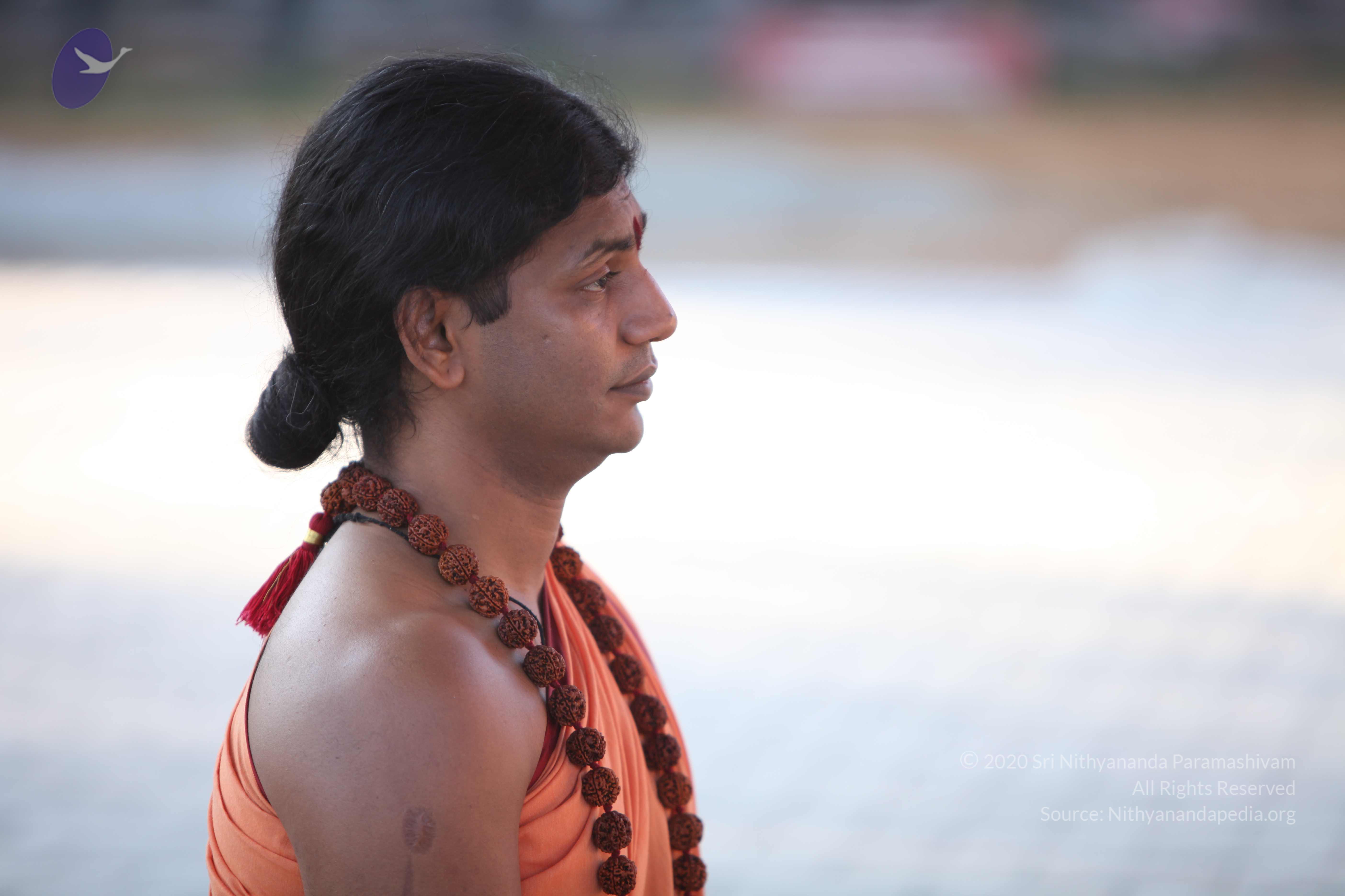 20110202_Photo_1085_IMG_3208_CMP_WM