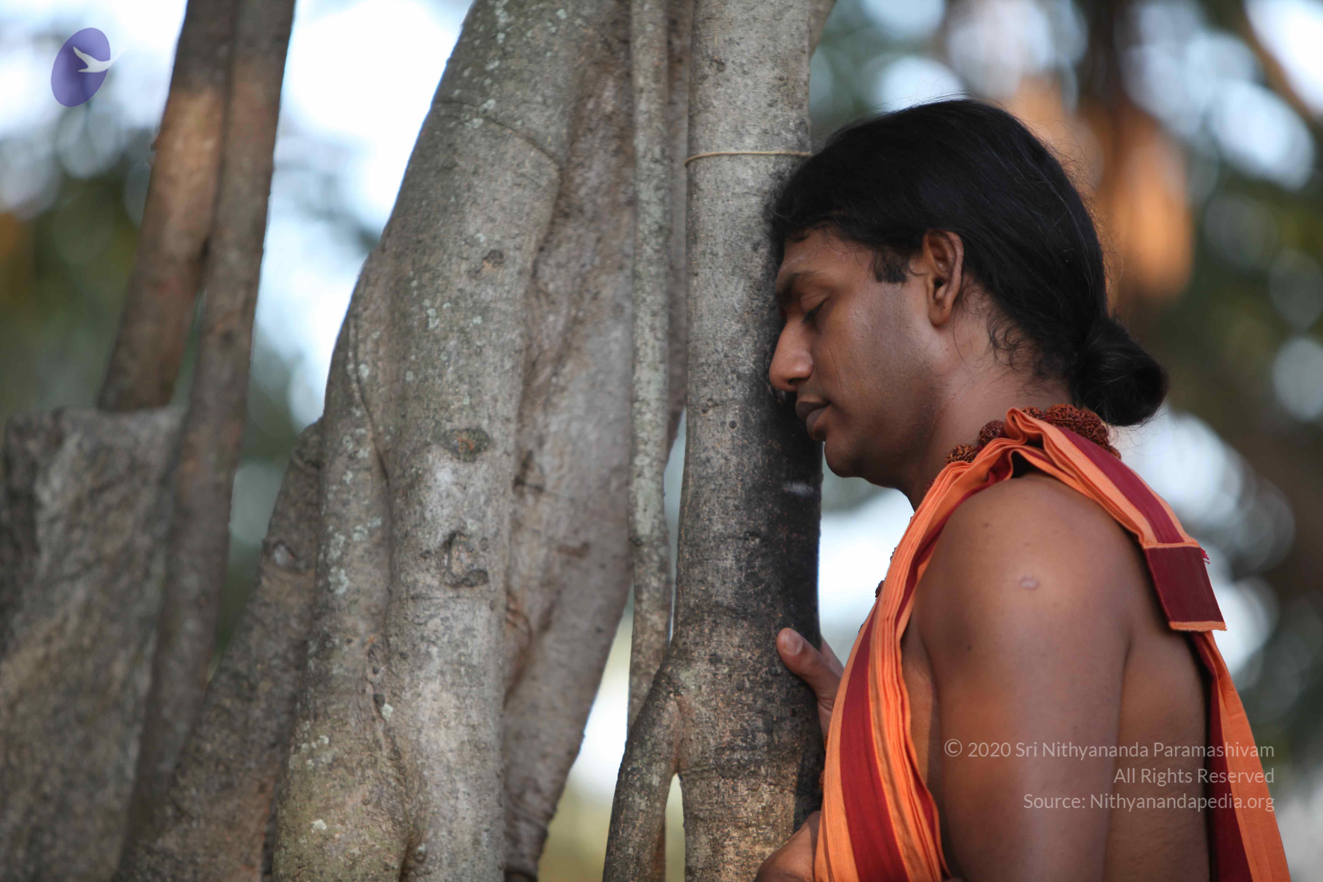 20110202_Photo_1087_IMG_3096_CMP_WM