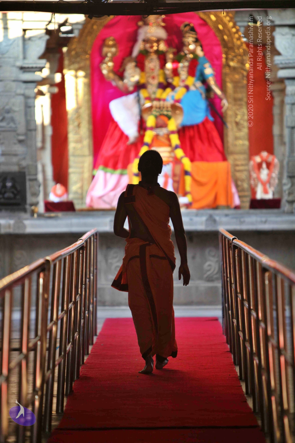 20110202_Photo_1089_IMG_3069_CMP_WM