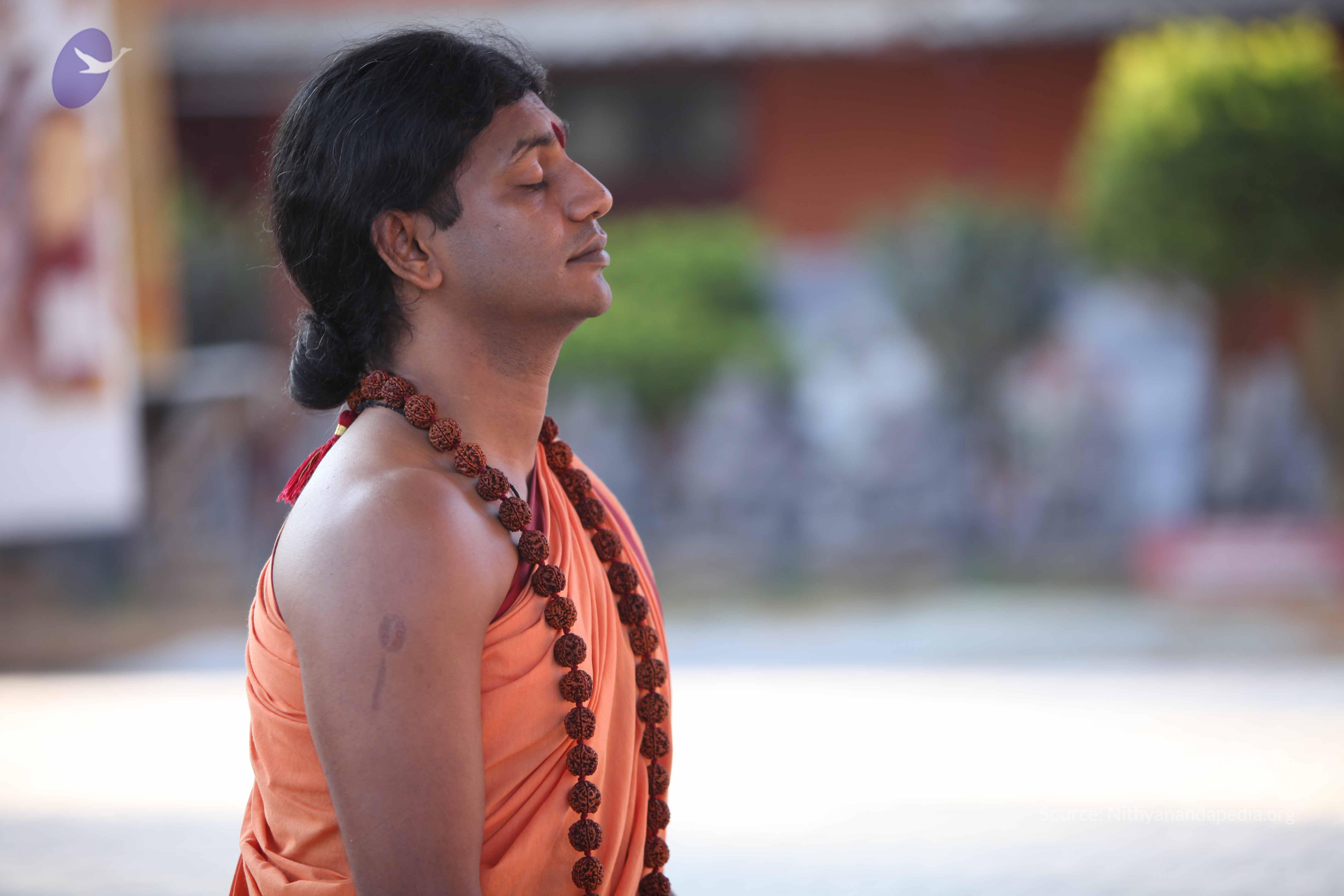 20110202_Photo_1090_IMG_3214_CMP_WM