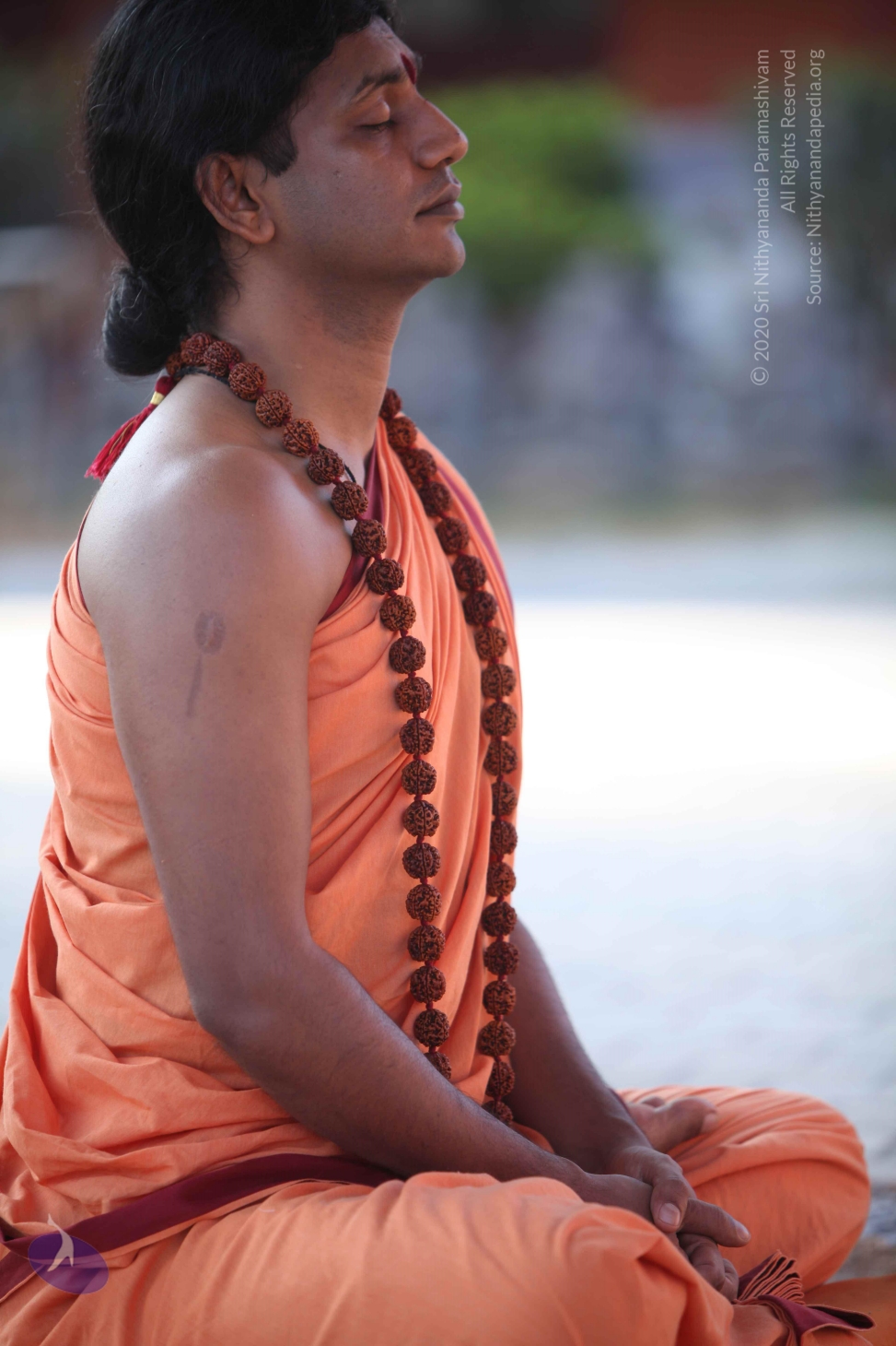 20110202_Photo_1091_IMG_3223_CMP_WM