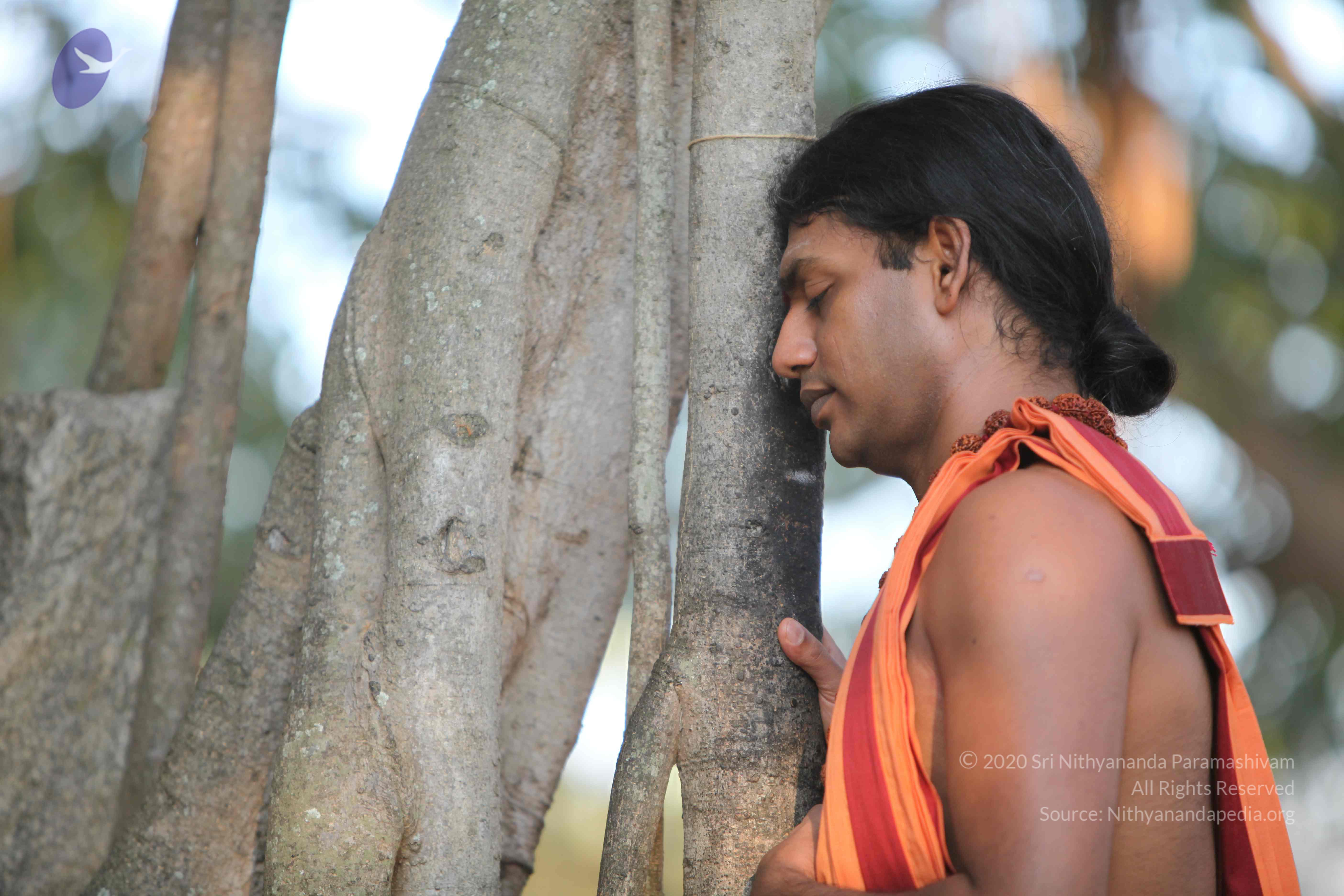 20110202_Photo_1092_IMG_3098_CMP_WM