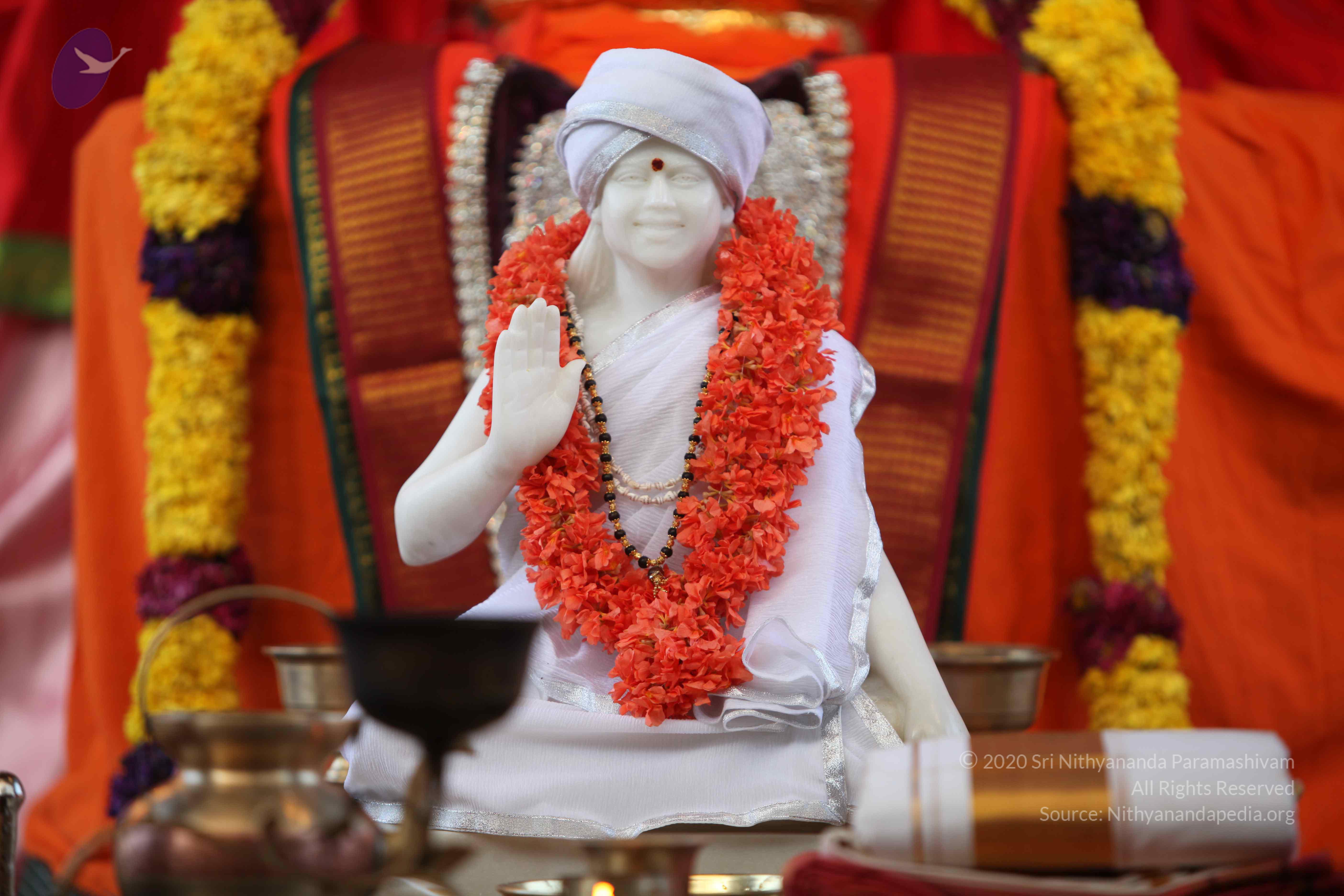 20110202_Photo_1093_IMG_3050_CMP_WM