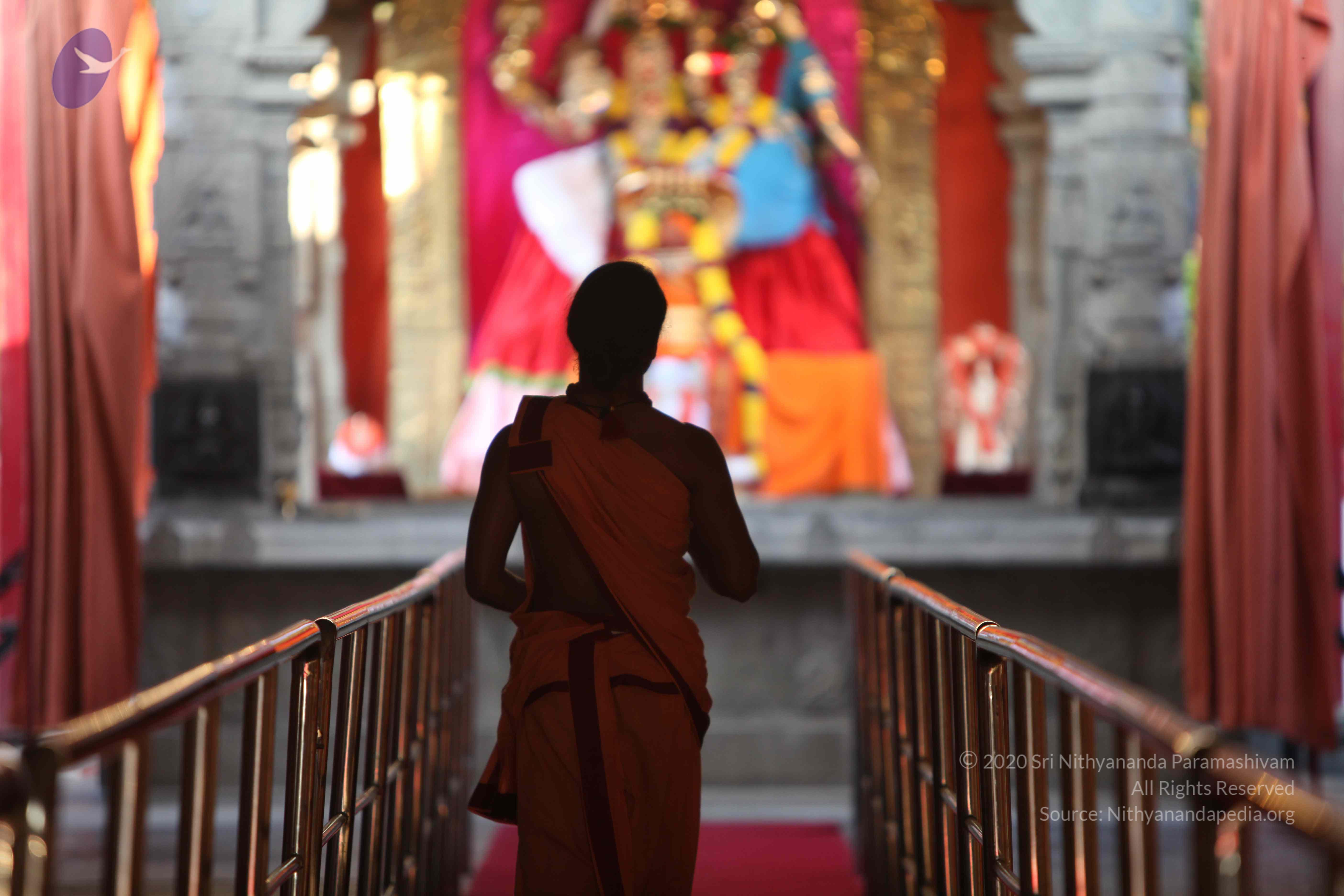 20110202_Photo_1094_IMG_3067_CMP_WM