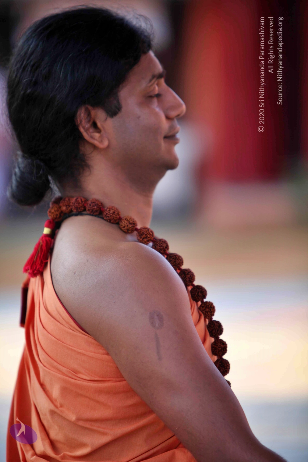 20110202_Photo_1095_IMG_3144_CMP_WM