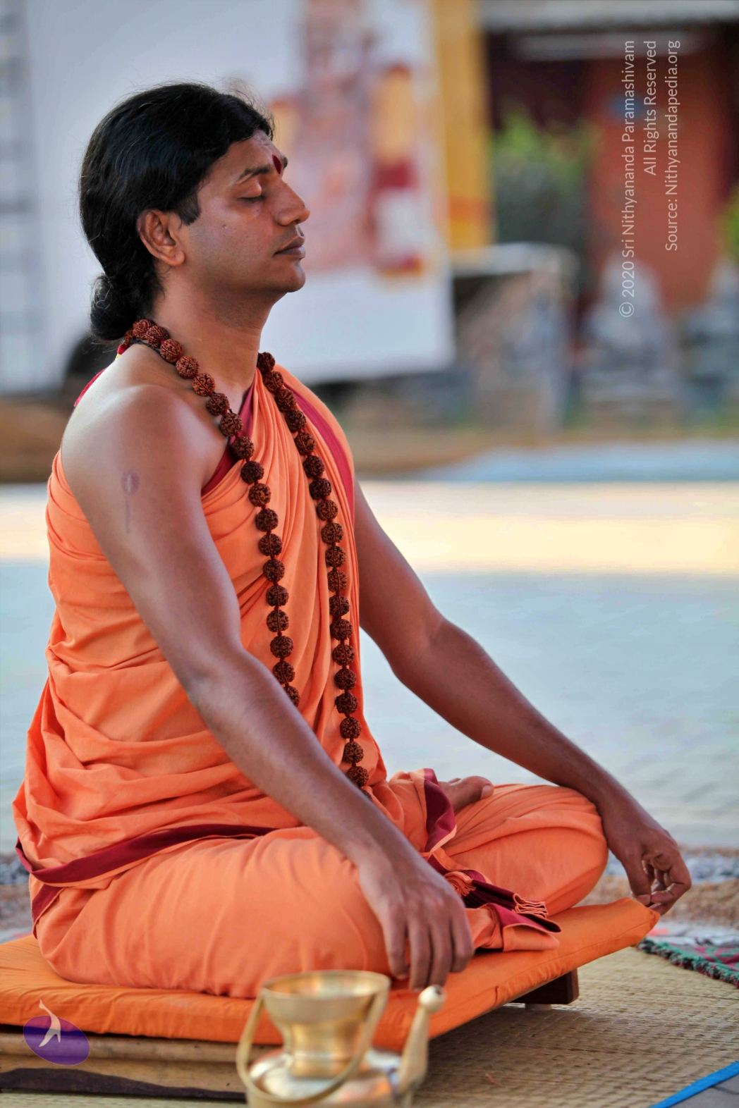 20110202_Photo_1097_IMG_3126_CMP_WM