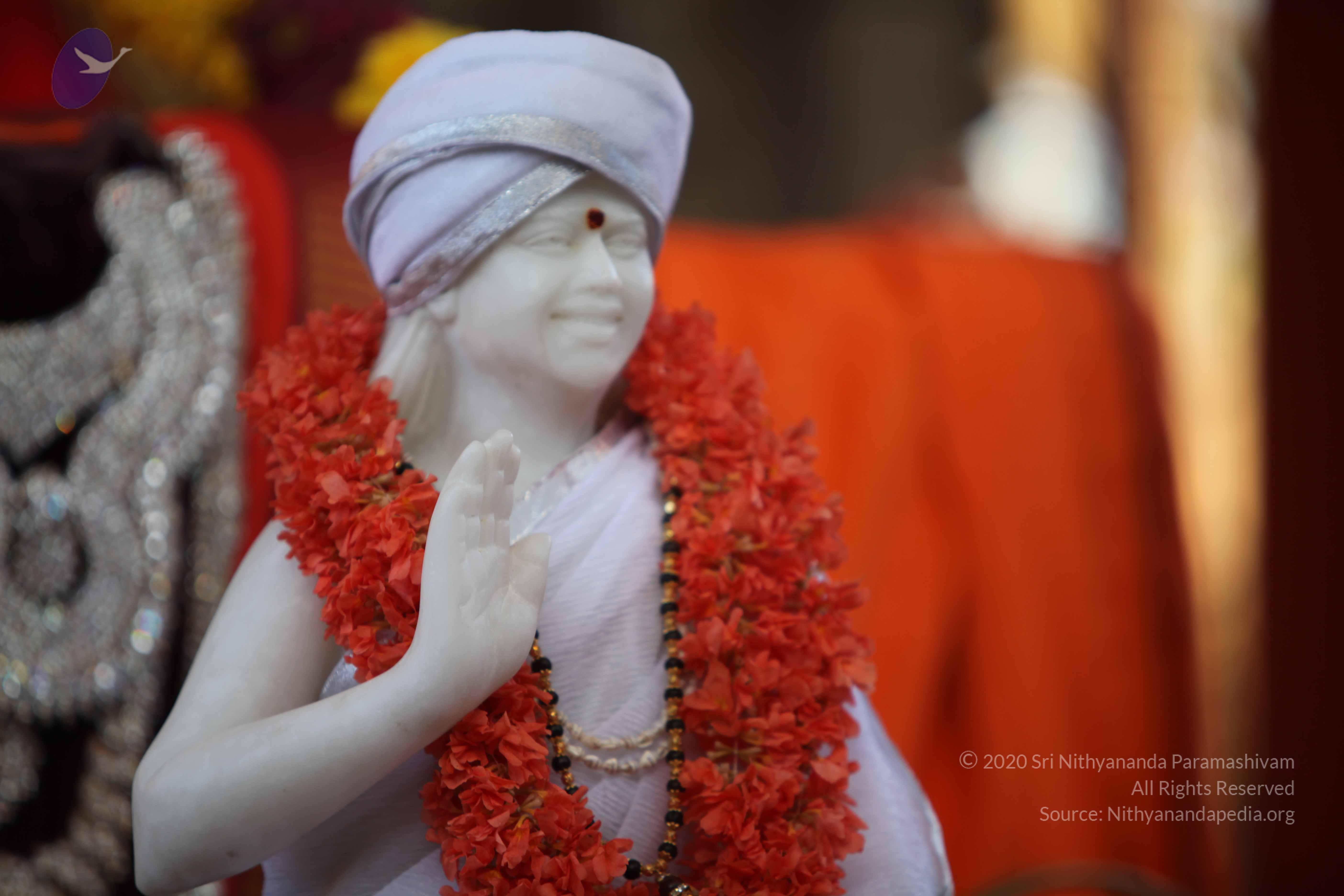 20110202_Photo_1098_IMG_3111_CMP_WM