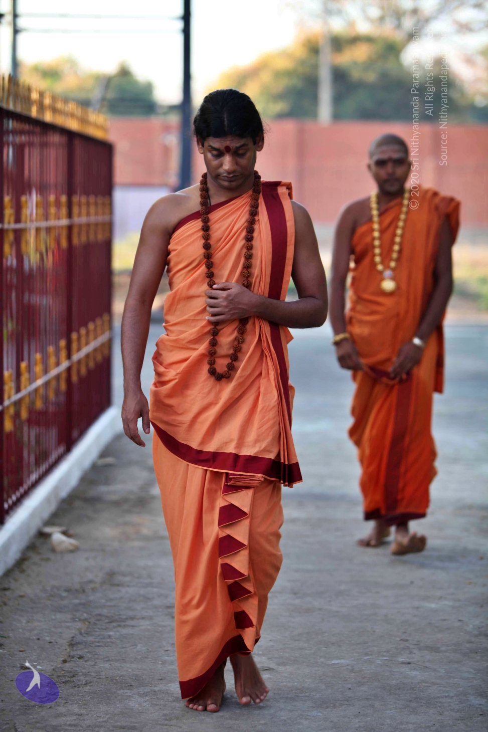 20110202_Photo_1099_IMG_3084_CMP_WM