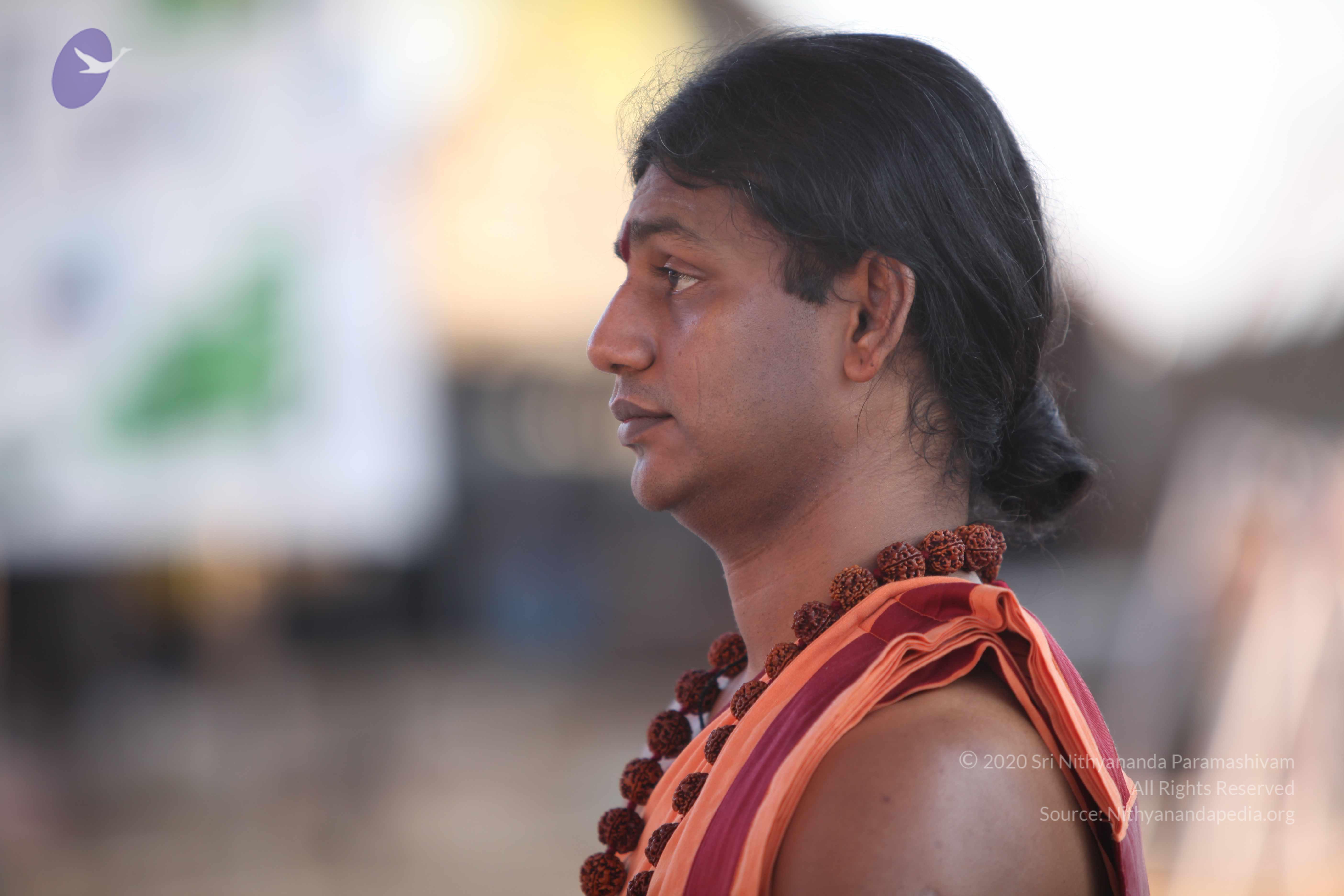 20110202_Photo_1100_IMG_3190_CMP_WM