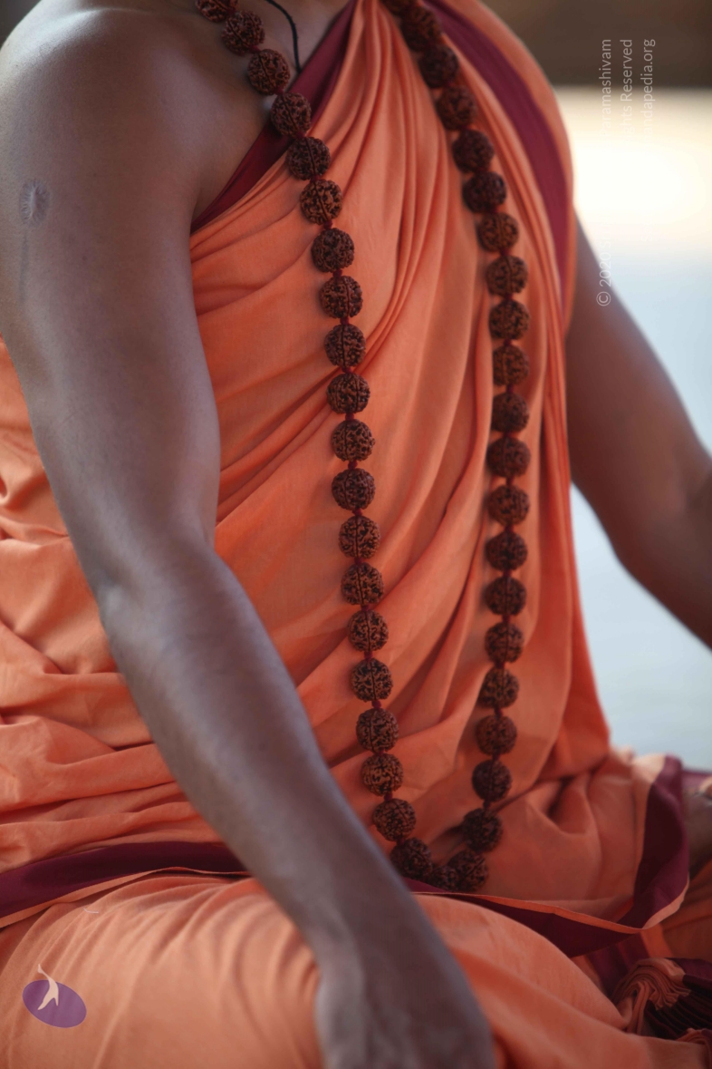 20110202_Photo_1101_IMG_3158_CMP_WM