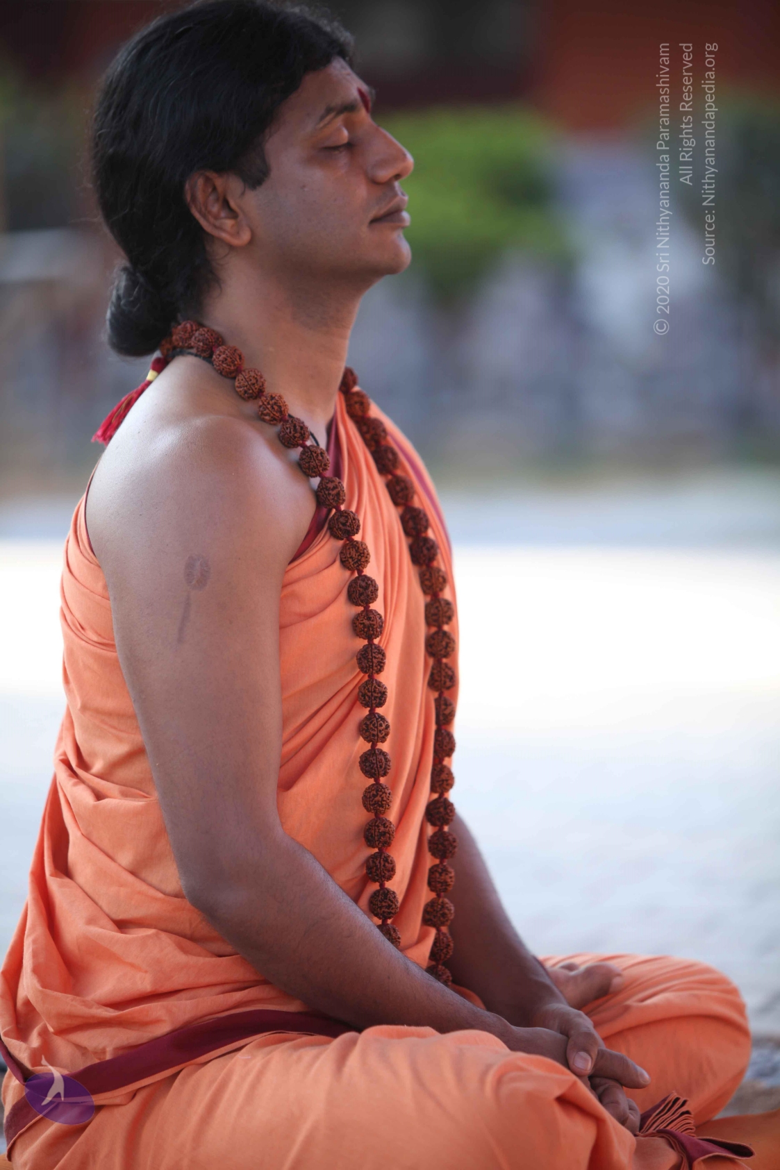 20110202_Photo_1103_IMG_3220_CMP_WM