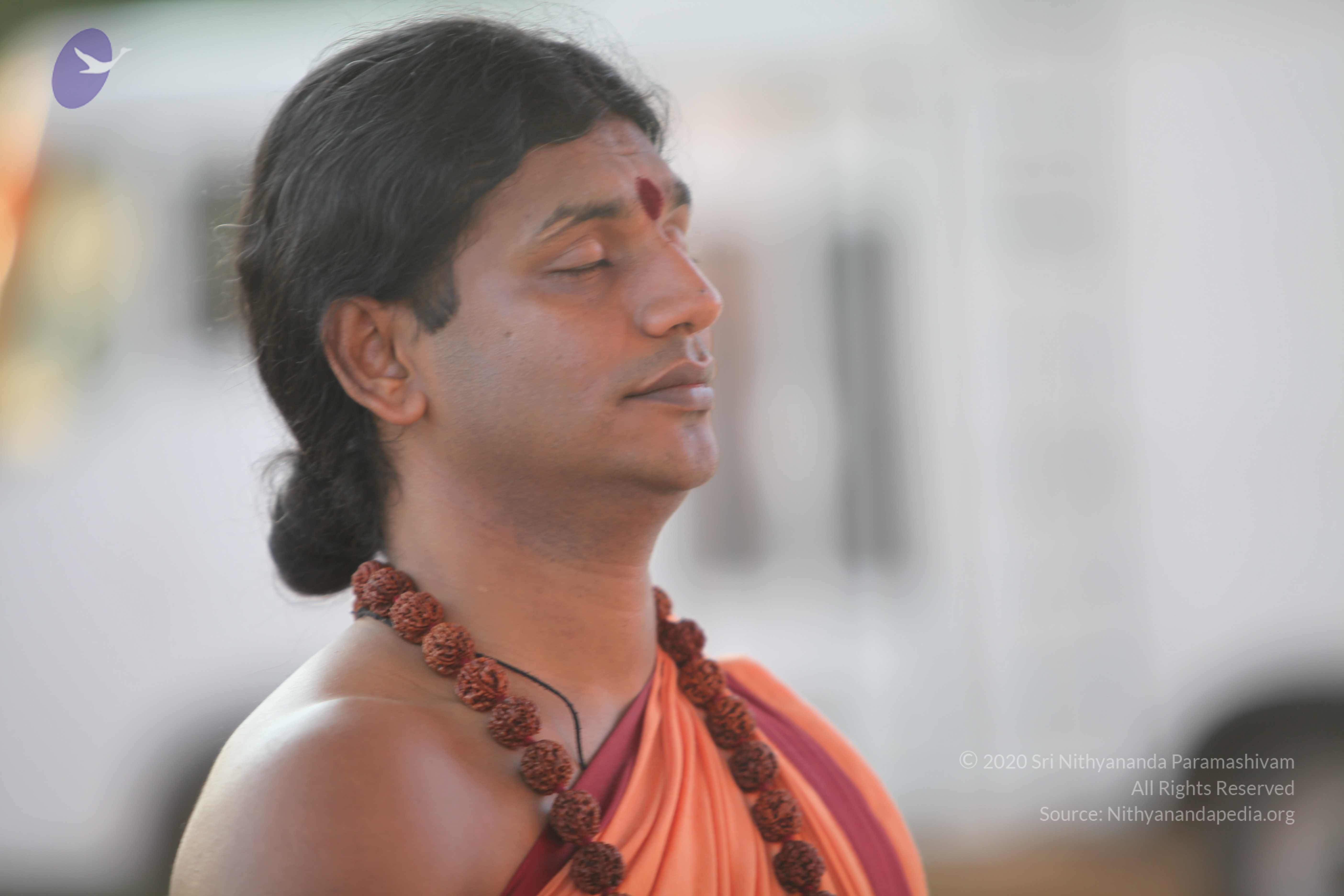 20110202_Photo_1105_IMG_3149_CMP_WM