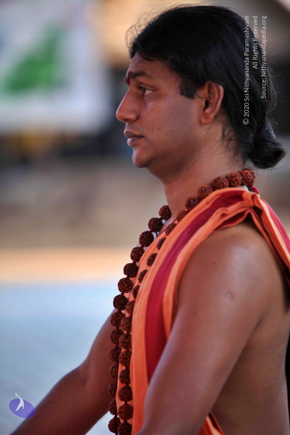 20110202_Photo_1106_IMG_3181_CMP_WM