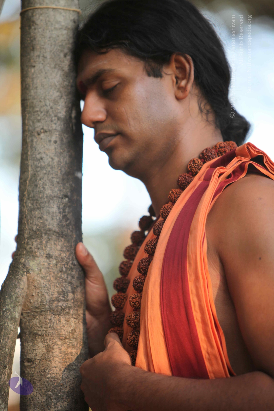 20110202_Photo_1107_IMG_3095_CMP_WM