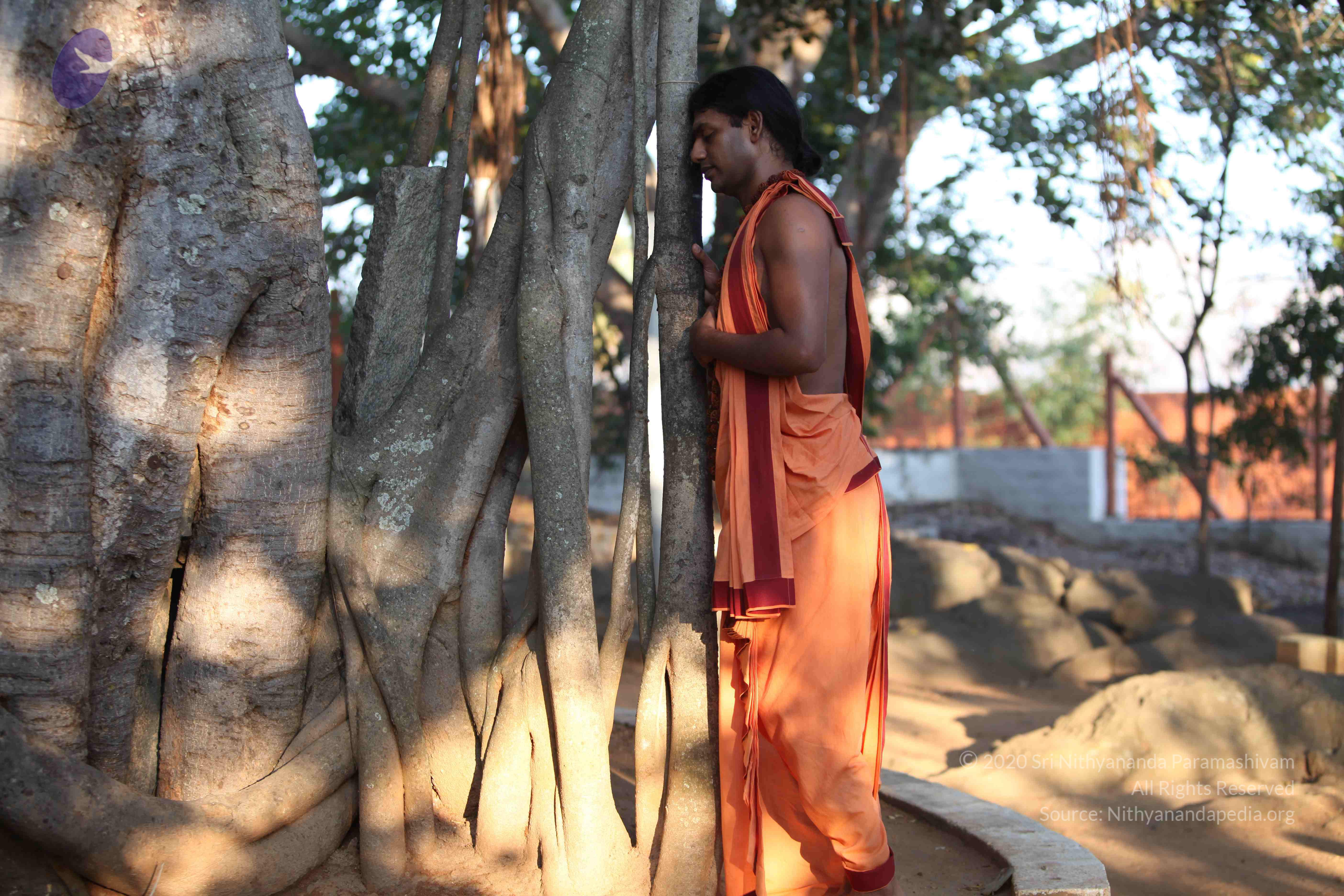 20110202_Photo_1108_IMG_3100_CMP_WM