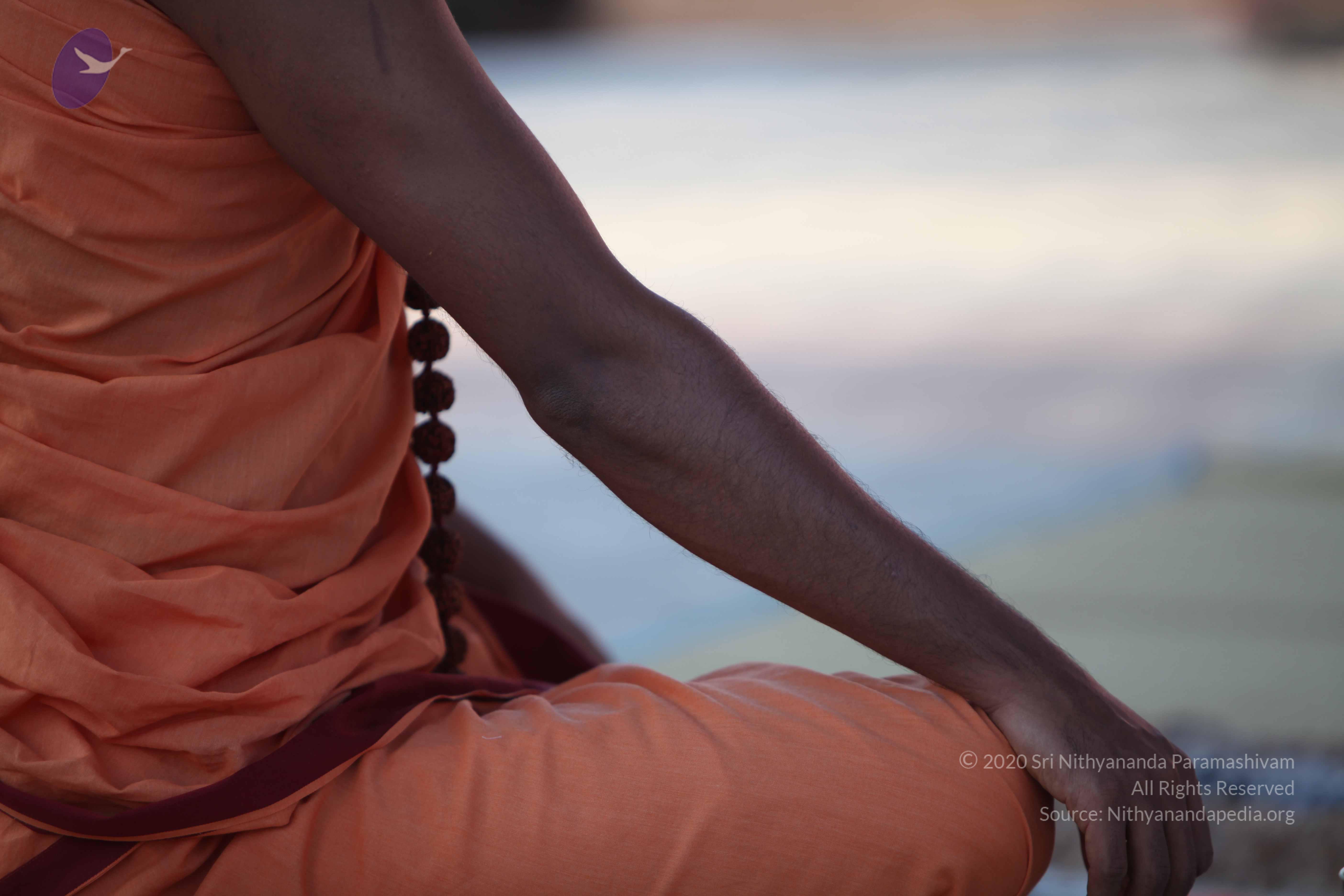 20110202_Photo_1109_IMG_3137_CMP_WM