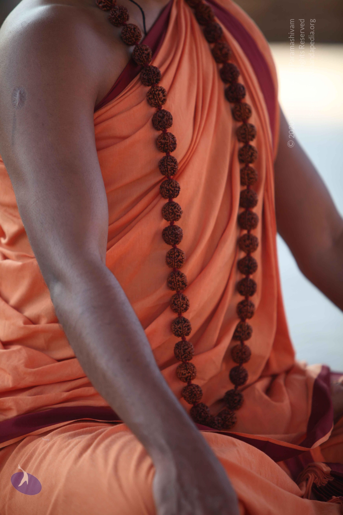 20110202_Photo_1111_IMG_3155_CMP_WM