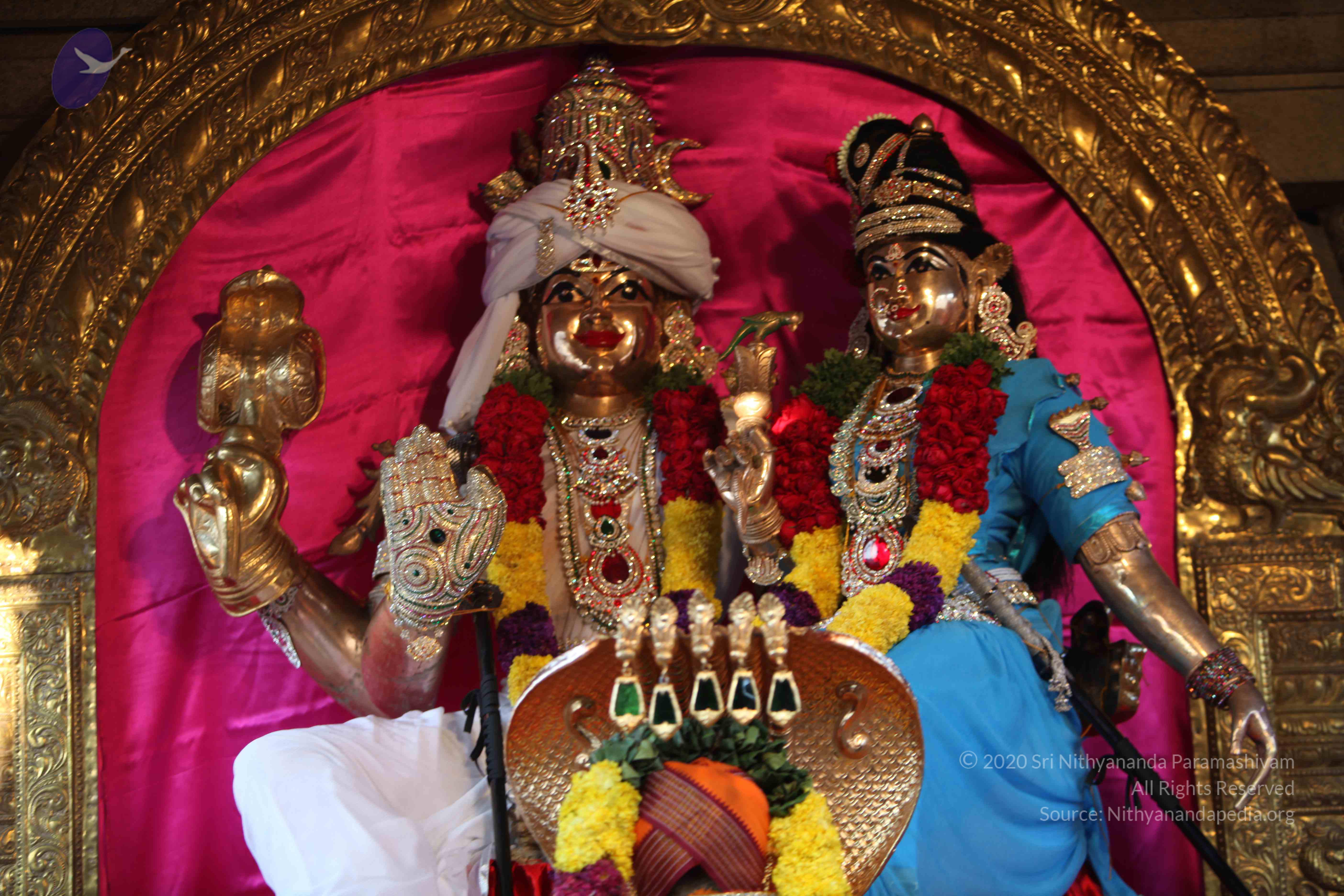 20110202_Photo_1113_IMG_3041_CMP_WM