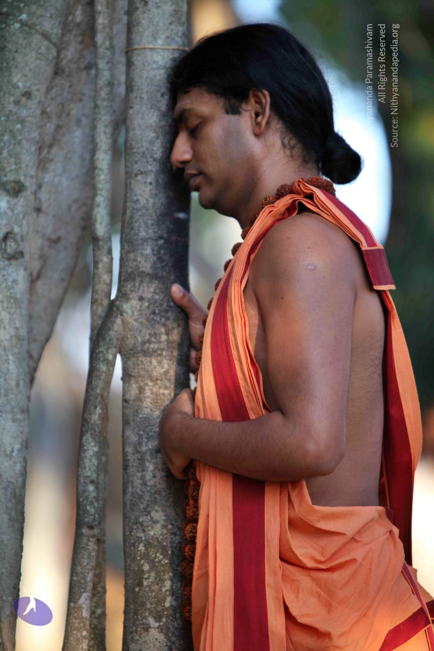 20110202_Photo_1115_IMG_3090_CMP_WM