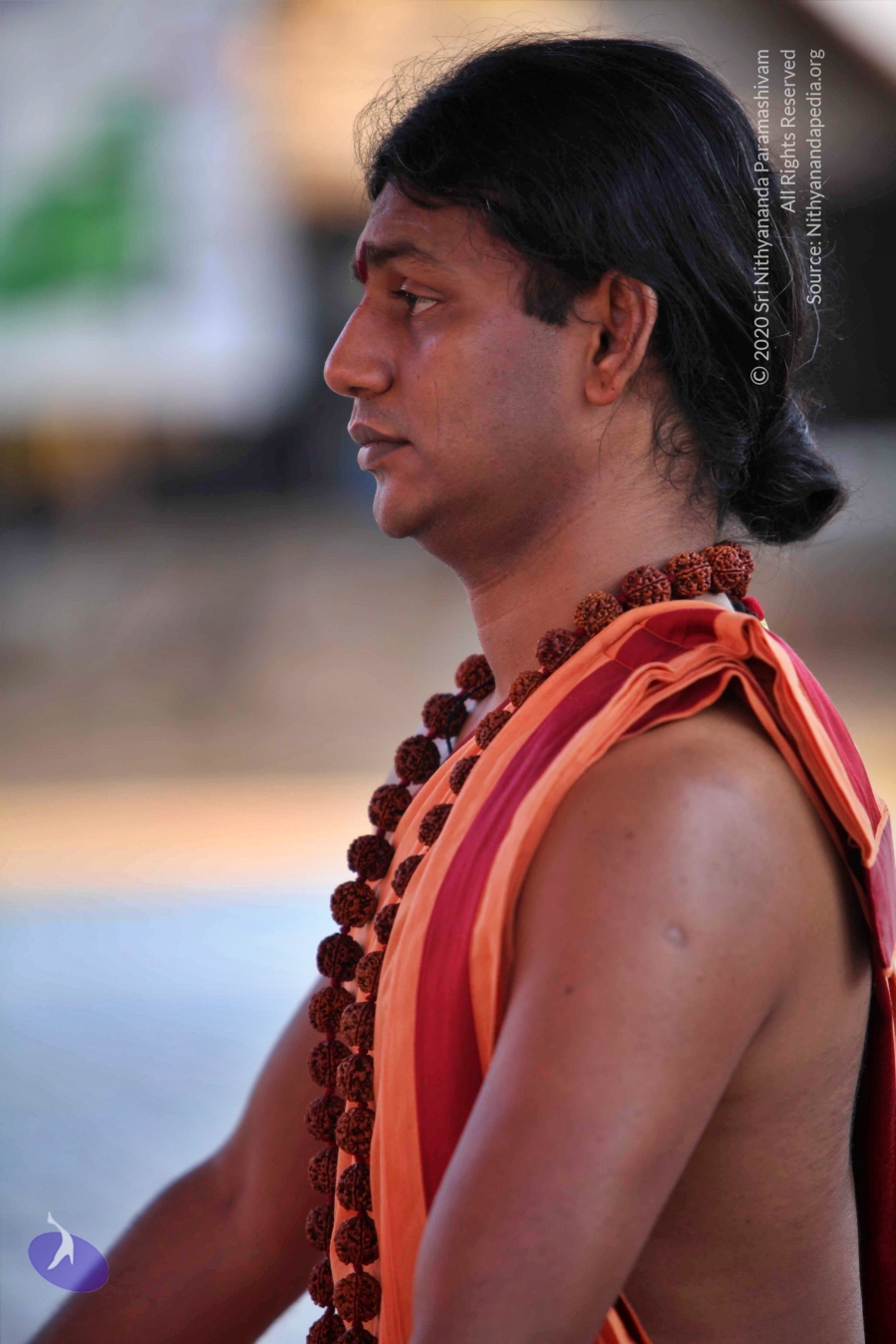 20110202_Photo_1116_IMG_3184_CMP_WM