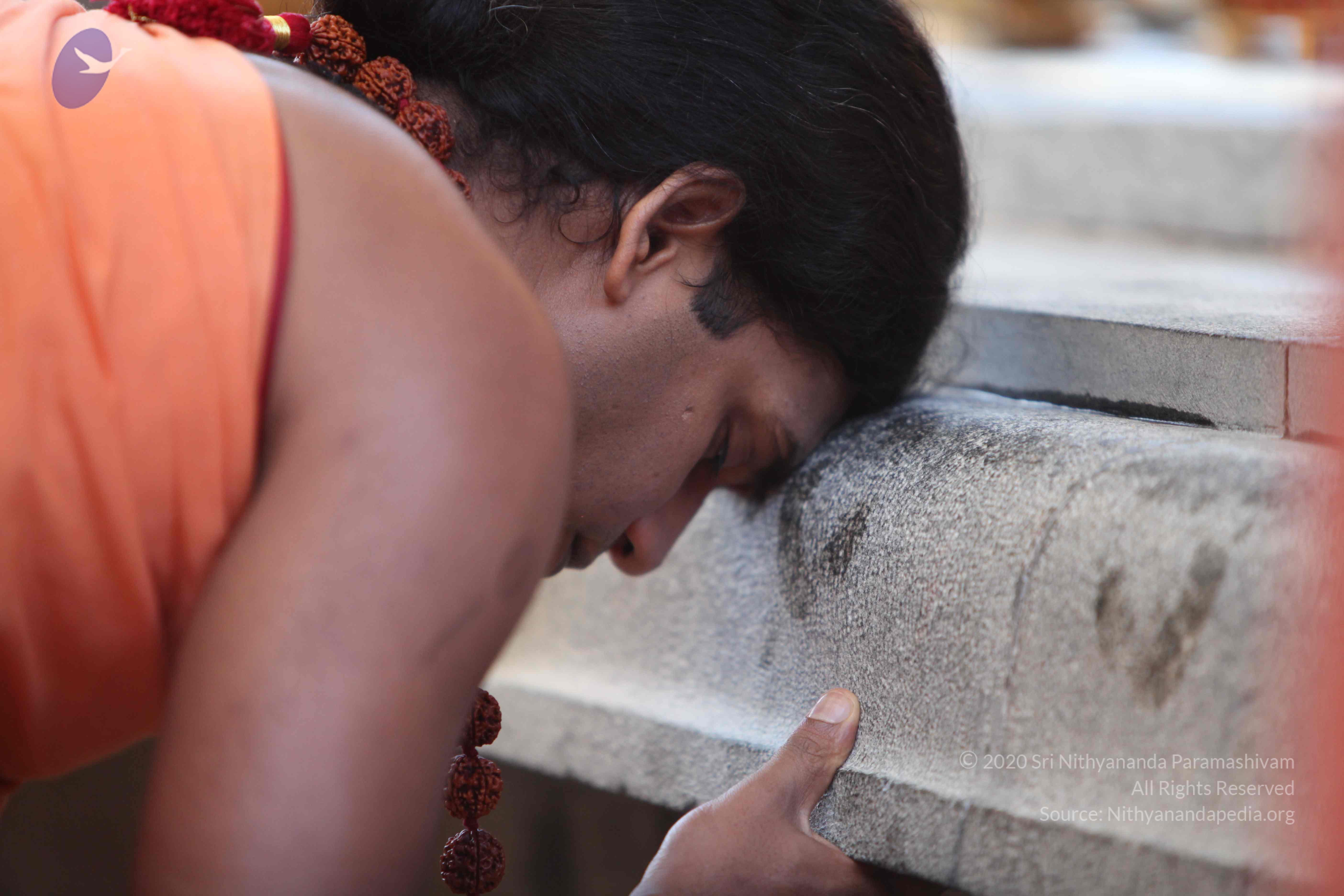 20110202_Photo_1124_IMG_3073_CMP_WM