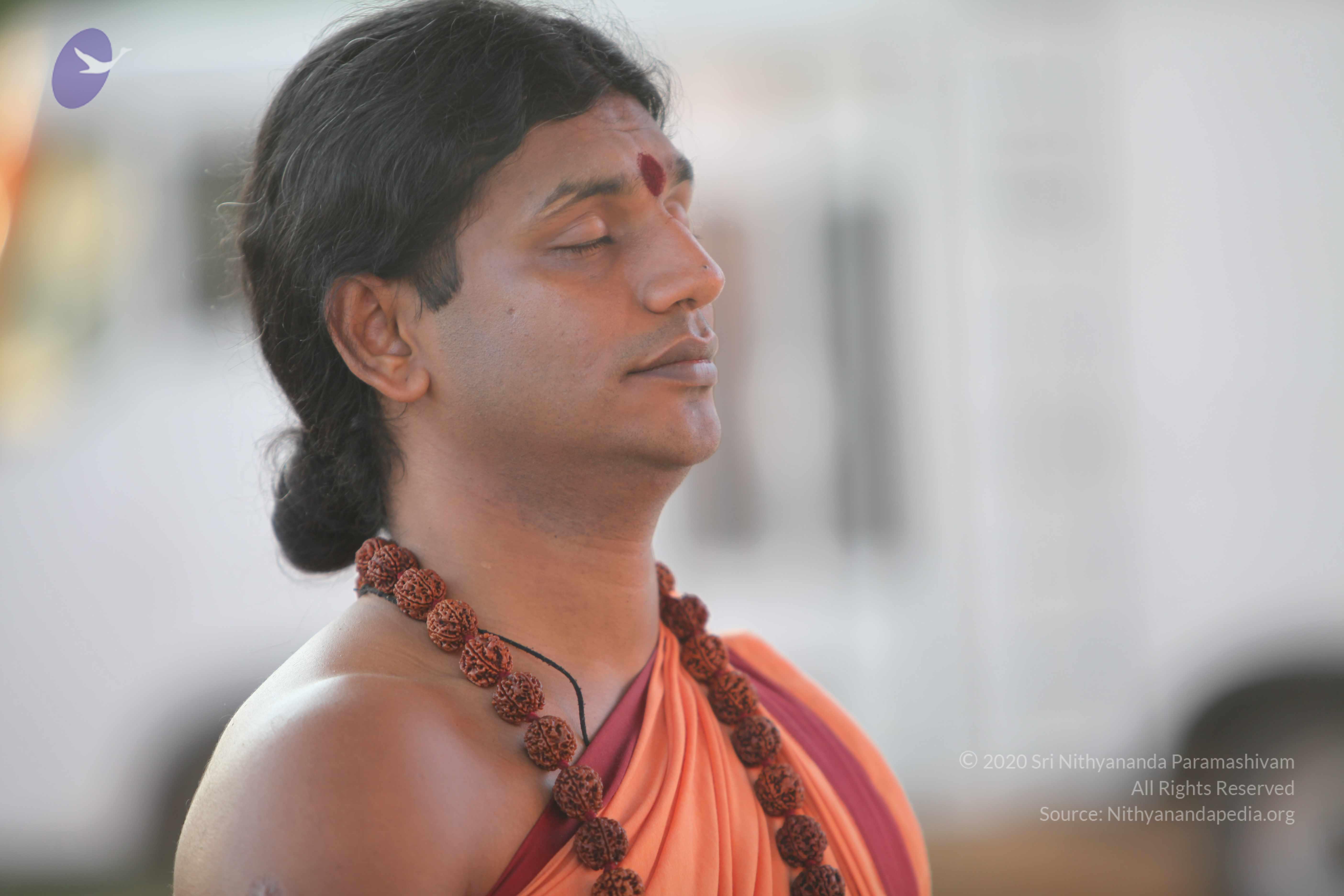 20110202_Photo_1125_IMG_3150_CMP_WM