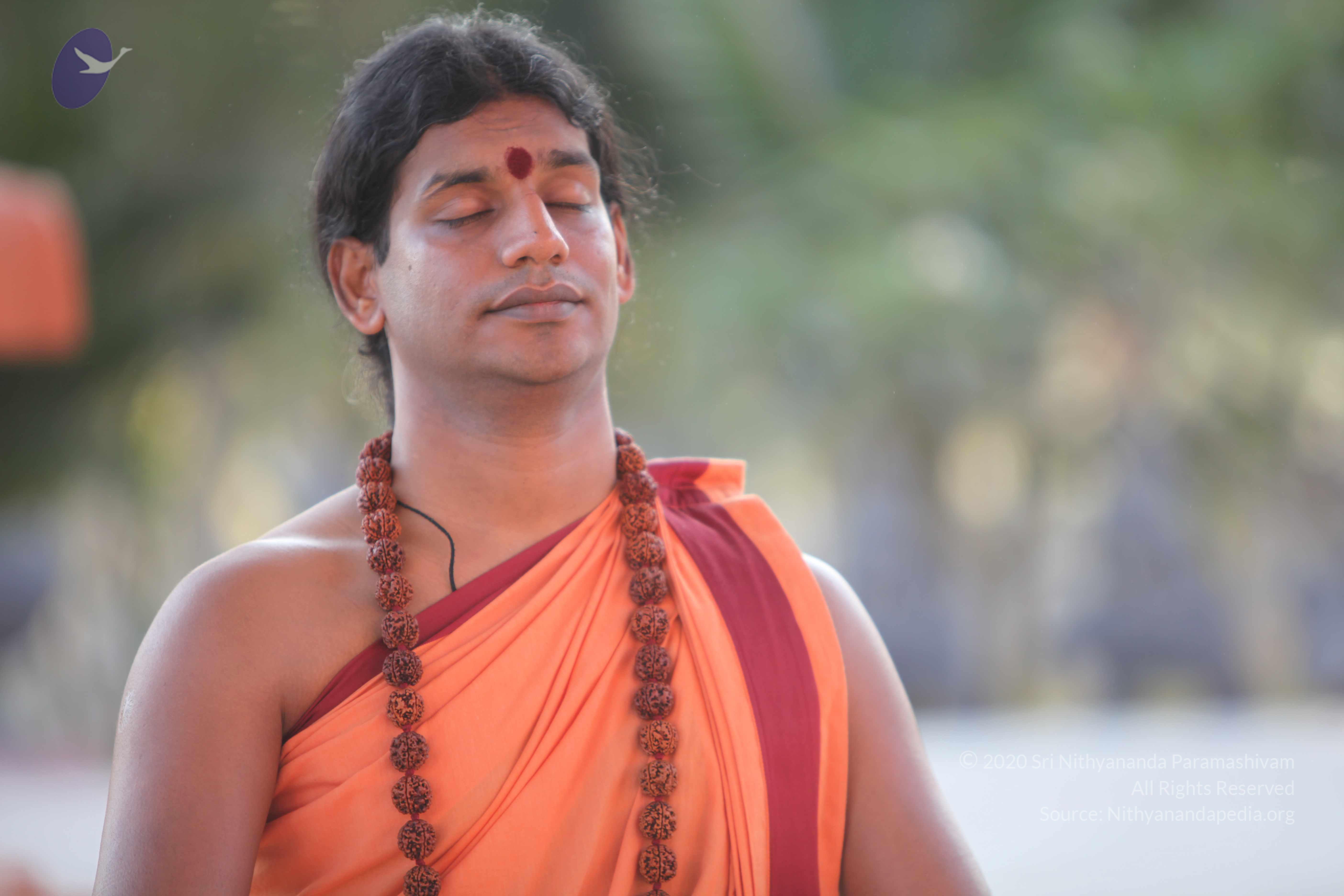 20110202_Photo_1126_IMG_3167_CMP_WM