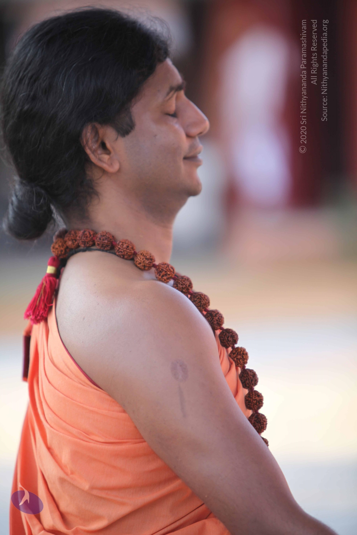 20110202_Photo_1128_IMG_3141_CMP_WM