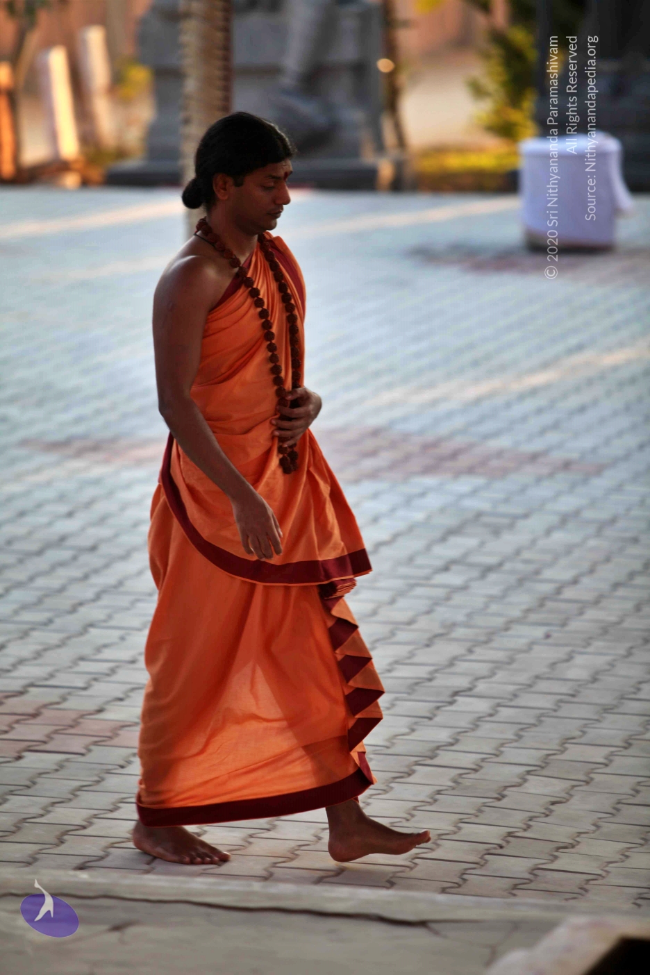 20110202_Photo_1130_IMG_3055_CMP_WM