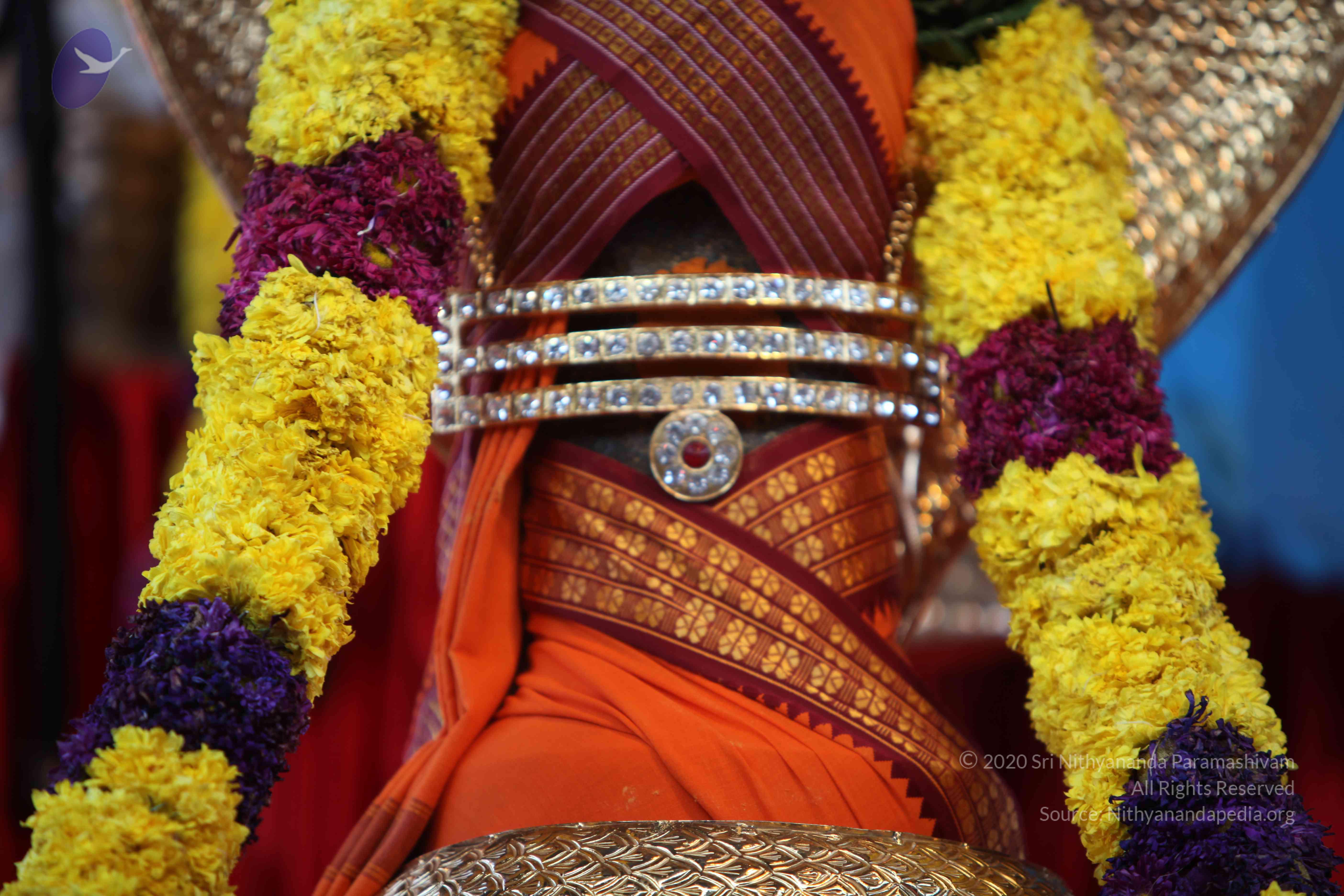 20110202_Photo_1131_IMG_3114_CMP_WM