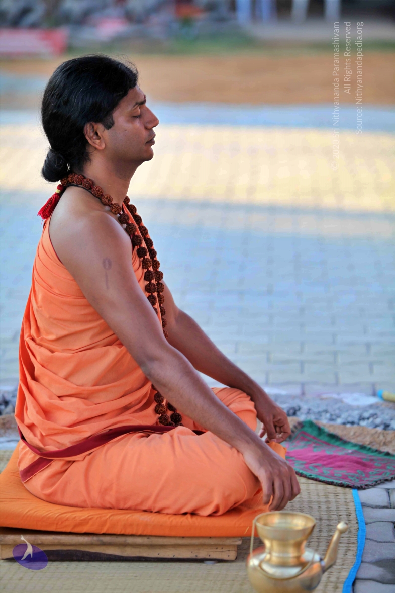 20110202_Photo_1132_IMG_3123_CMP_WM