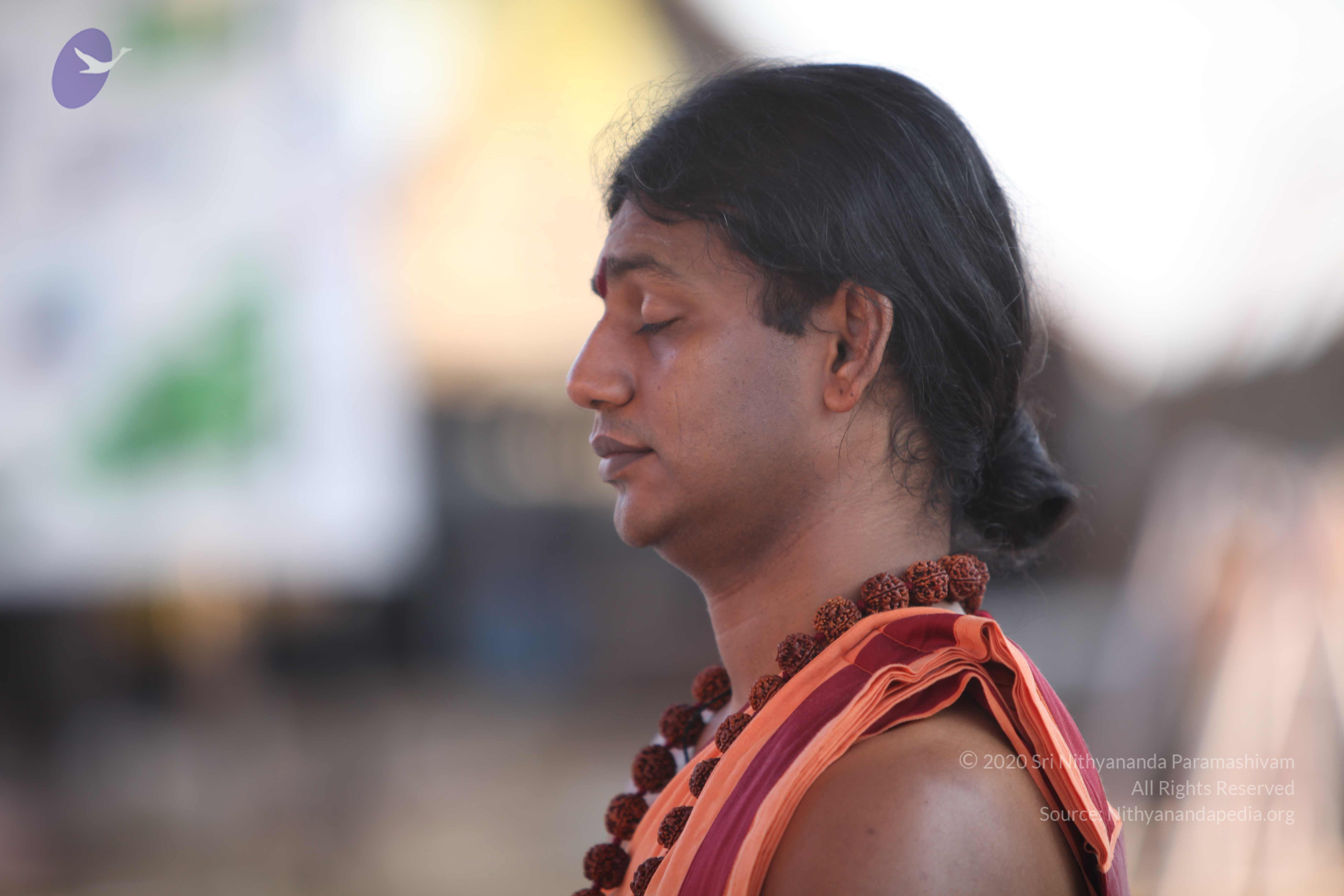 20110202_Photo_1133_IMG_3189_CMP_WM