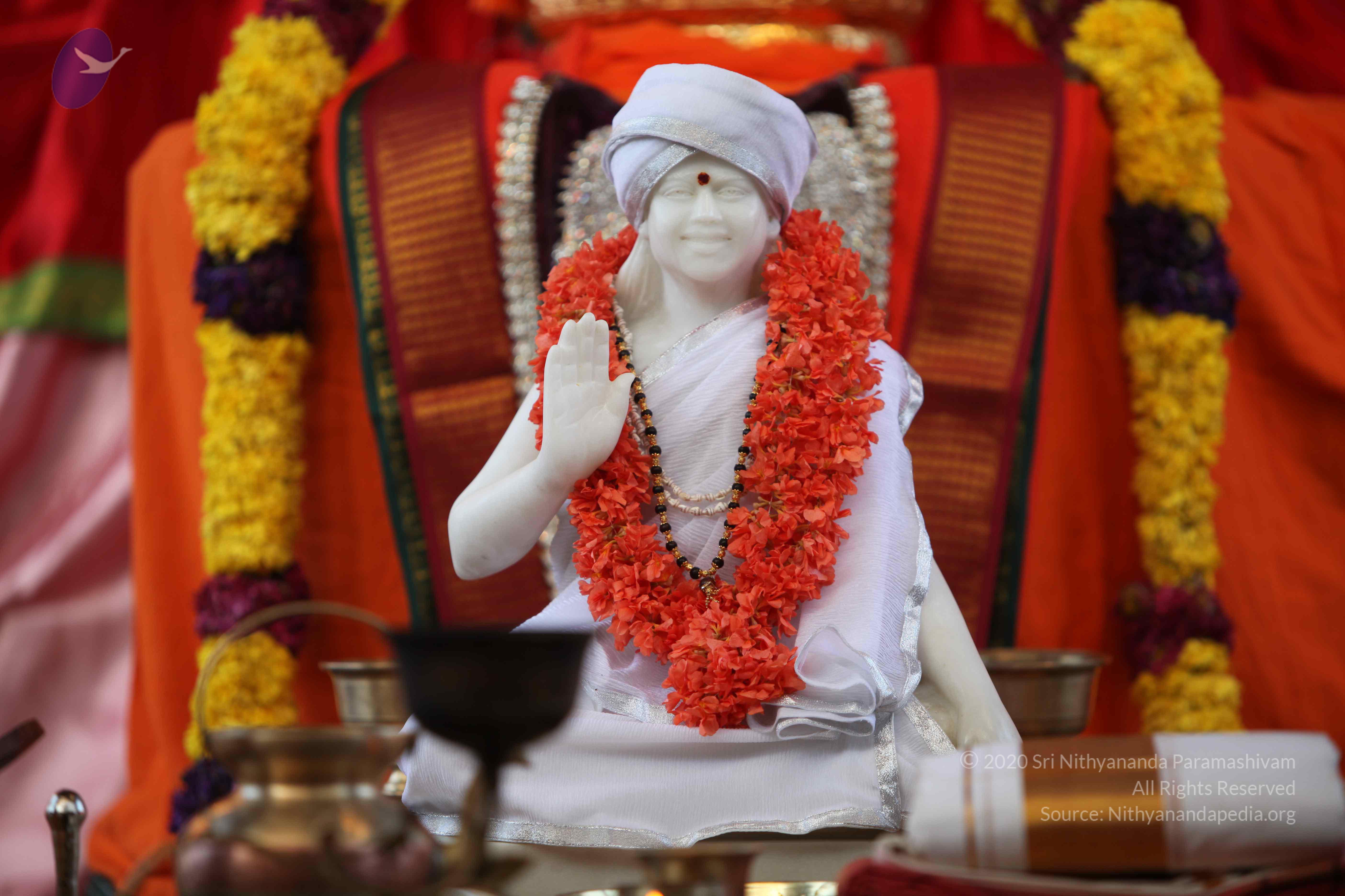 20110202_Photo_1134_IMG_3049_CMP_WM