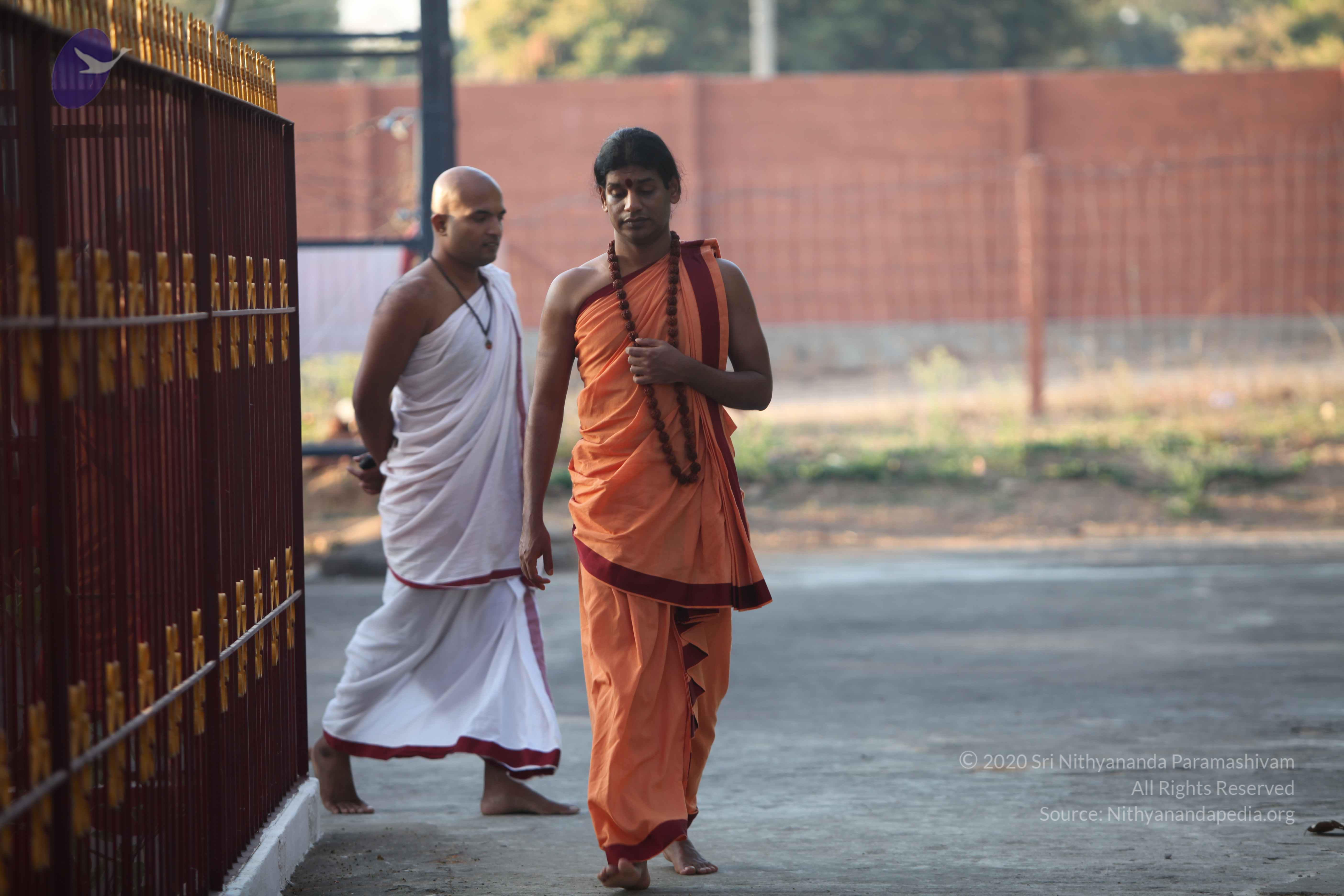 20110202_Photo_1138_IMG_3081_CMP_WM