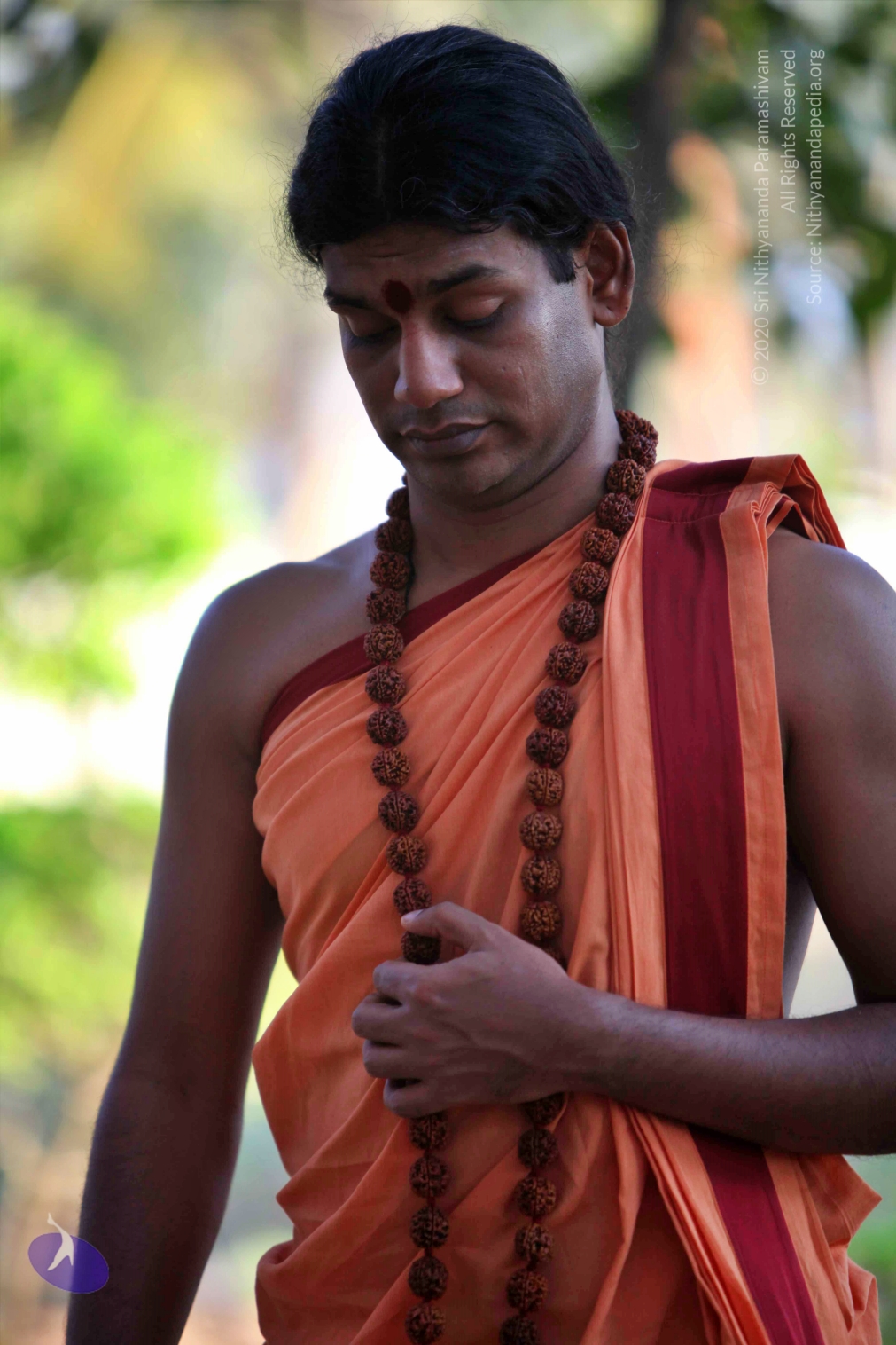 20110202_Photo_1139_IMG_3086_CMP_WM