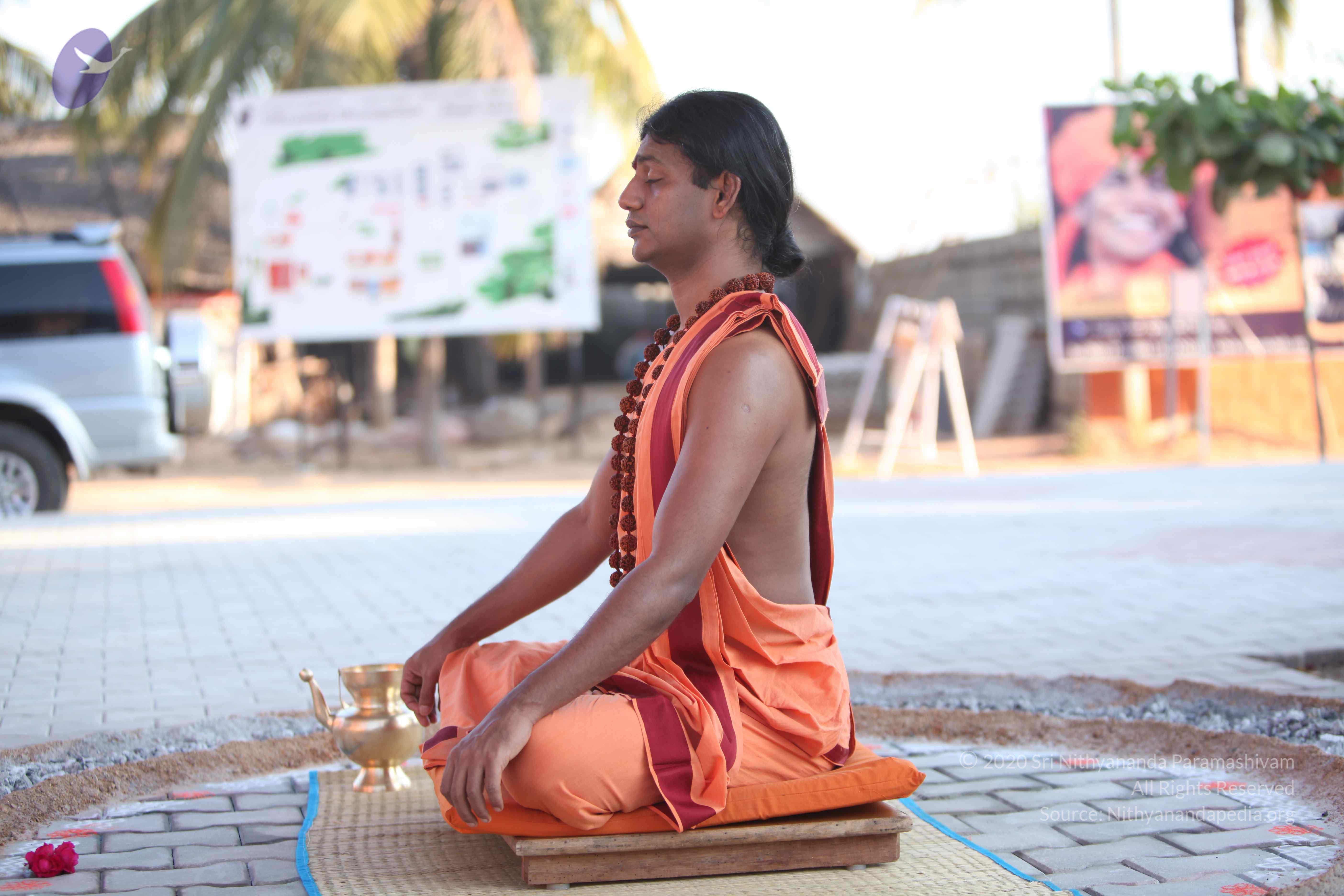 20110202_Photo_1140_IMG_3192_CMP_WM