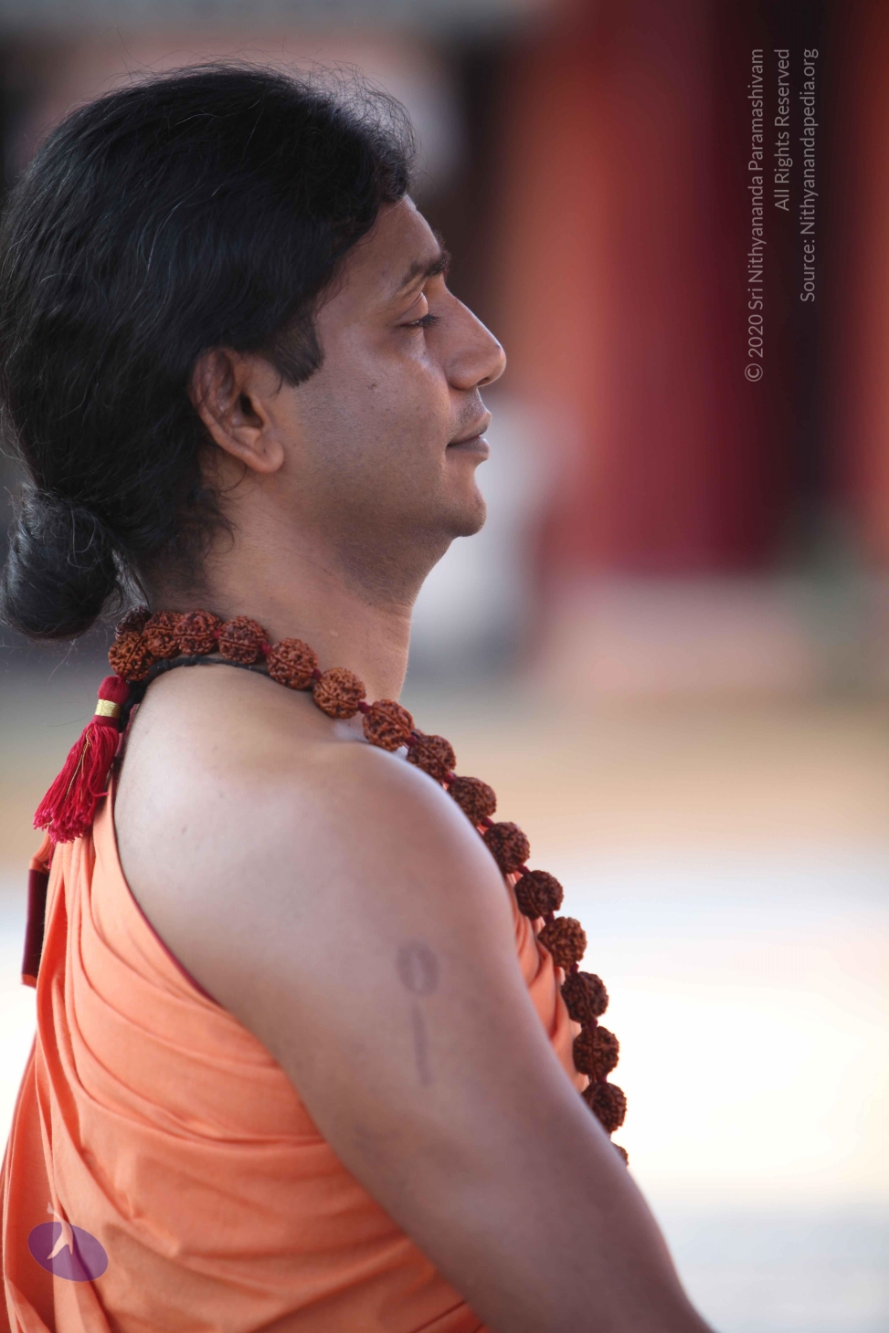 20110202_Photo_1148_IMG_3146_CMP_WM