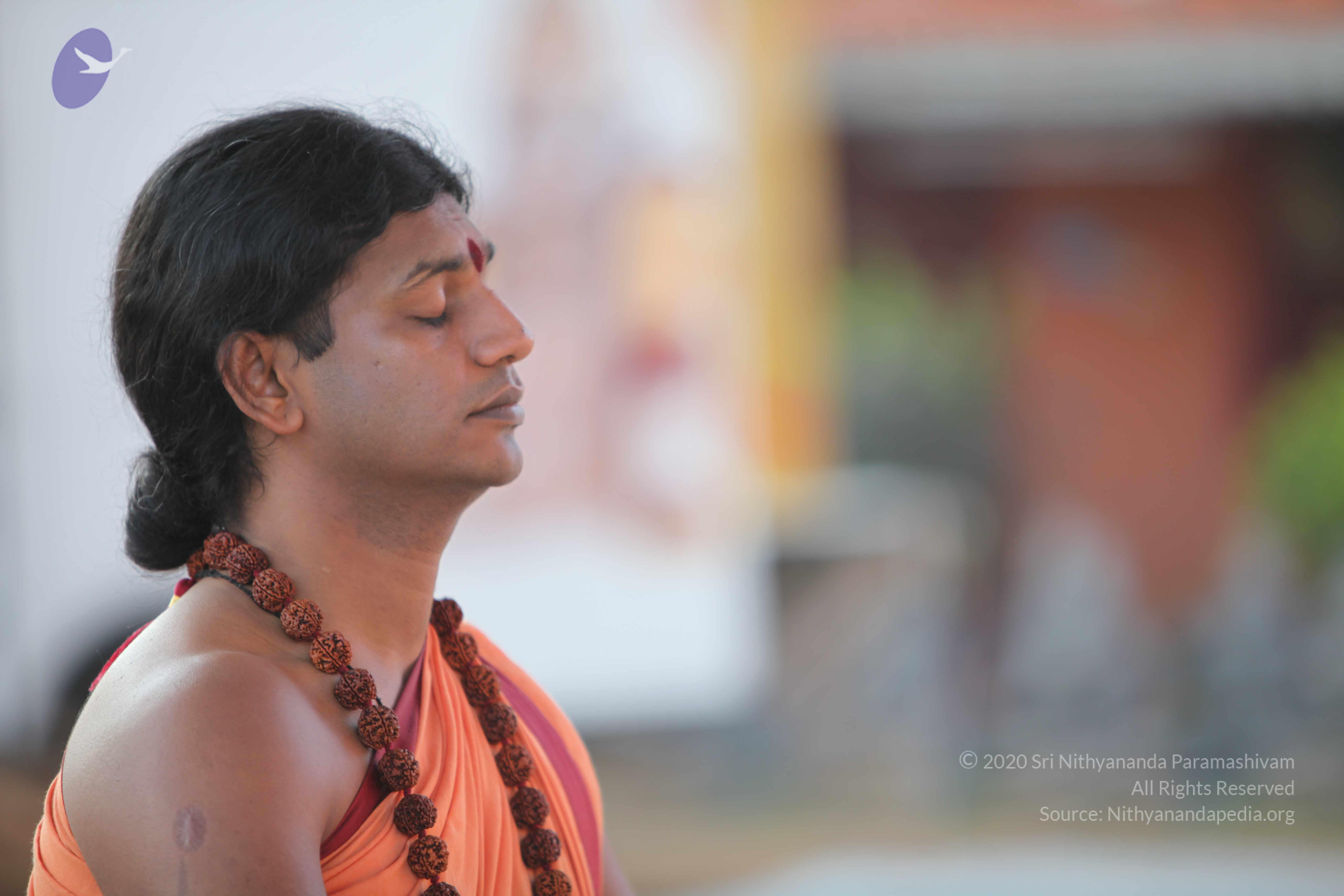 20110202_Photo_1150_IMG_3124_CMP_WM