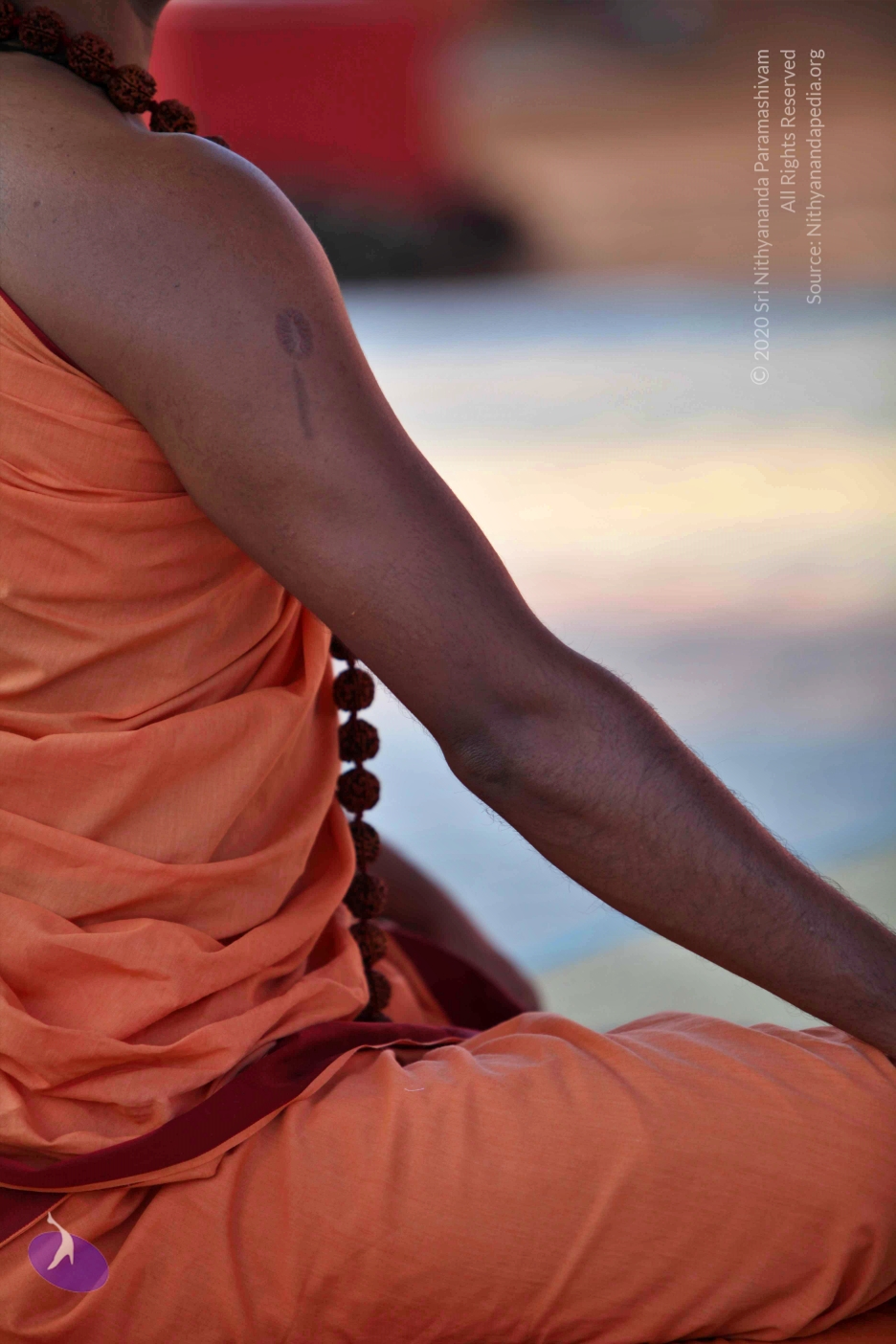 20110202_Photo_1151_IMG_3135_CMP_WM