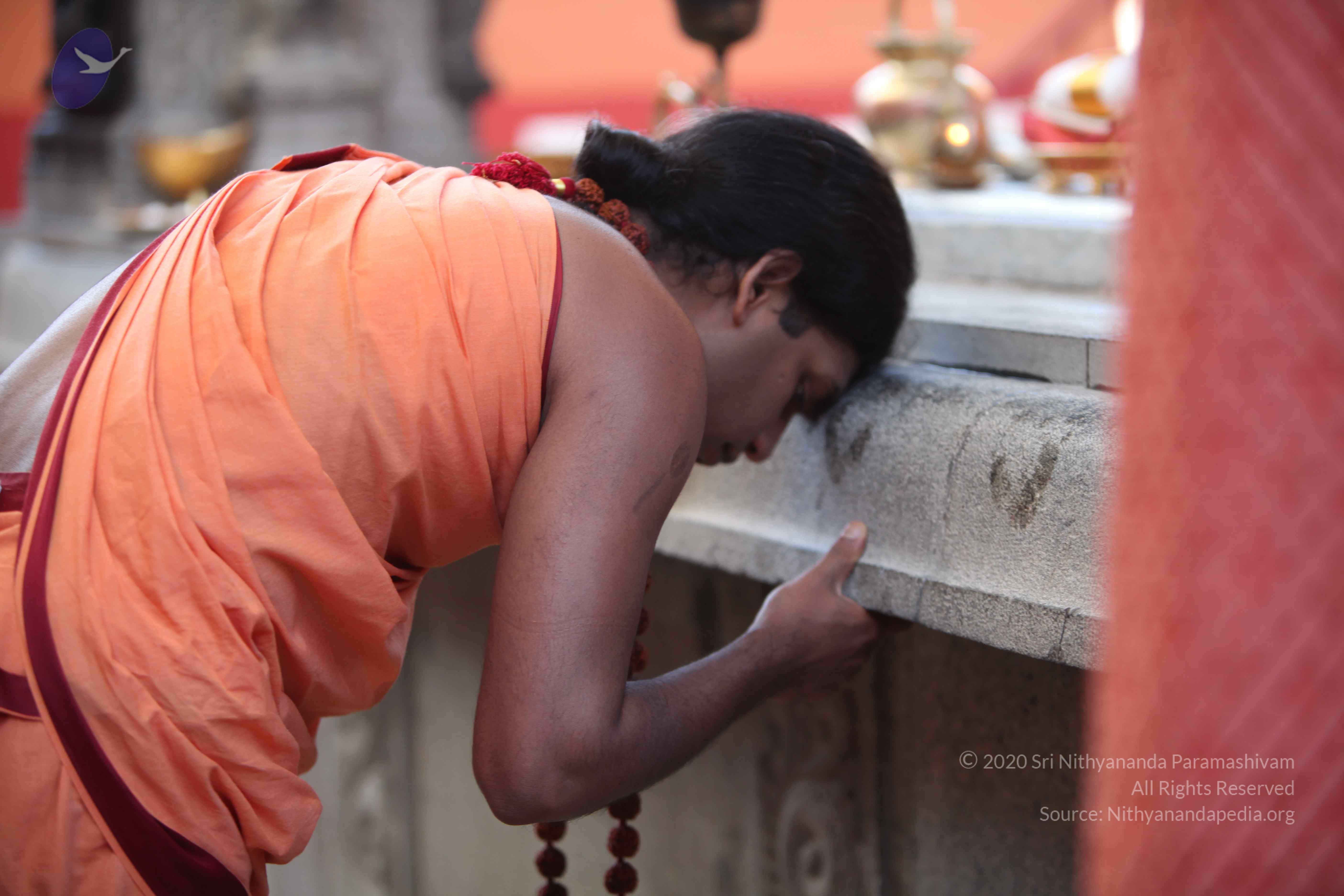 20110202_Photo_1157_IMG_3074_CMP_WM