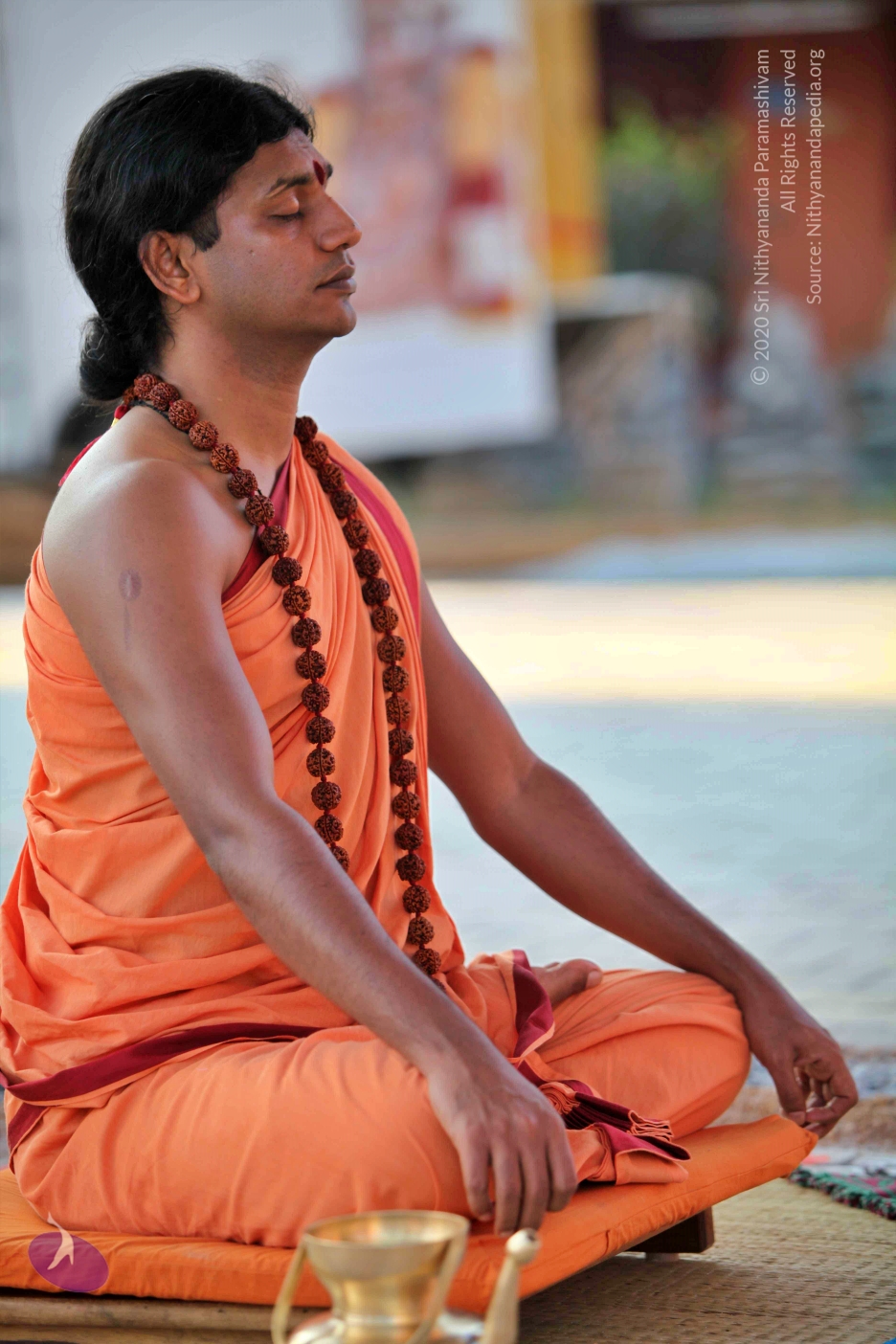 20110202_Photo_1158_IMG_3129_CMP_WM