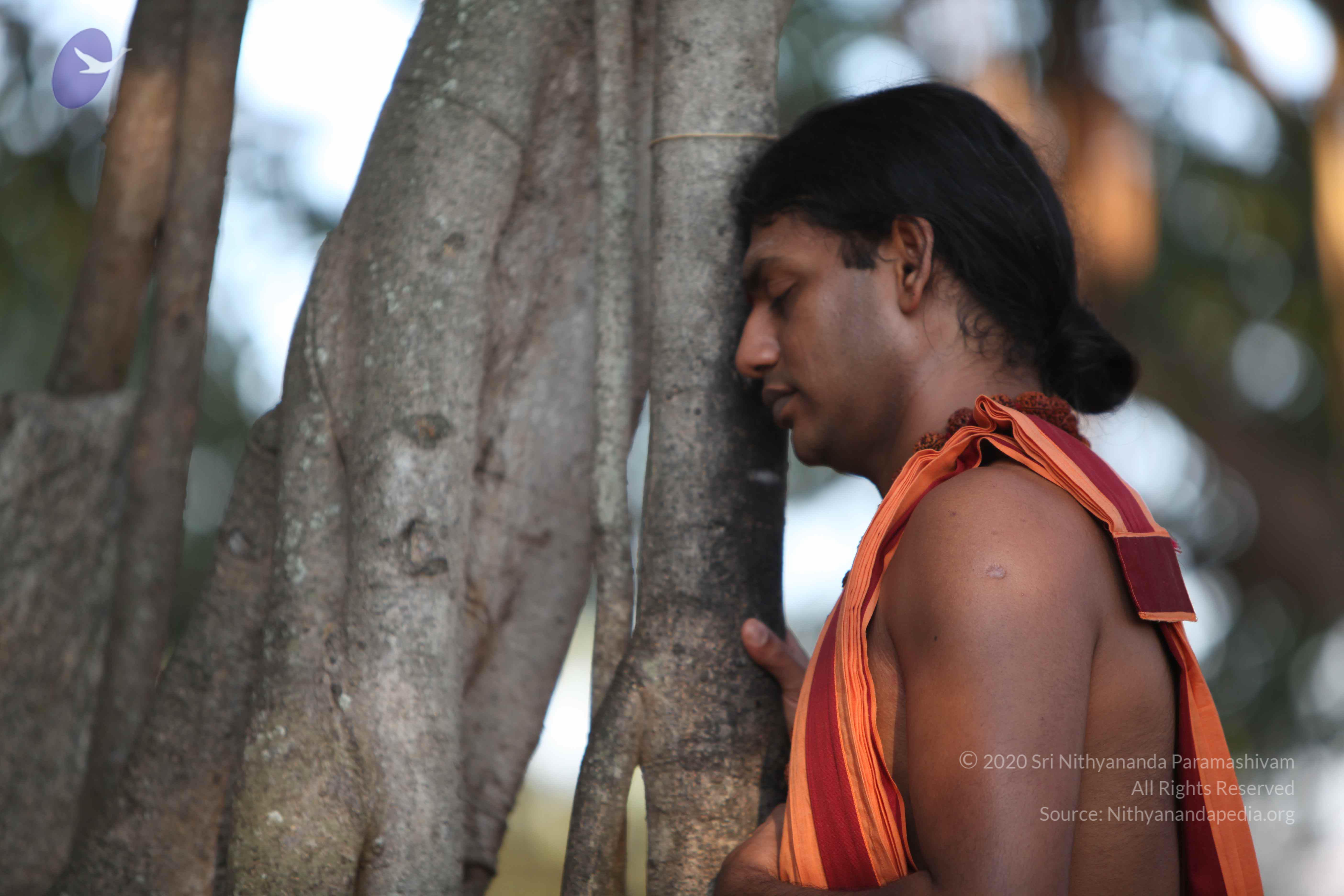 20110202_Photo_1163_IMG_3097_CMP_WM