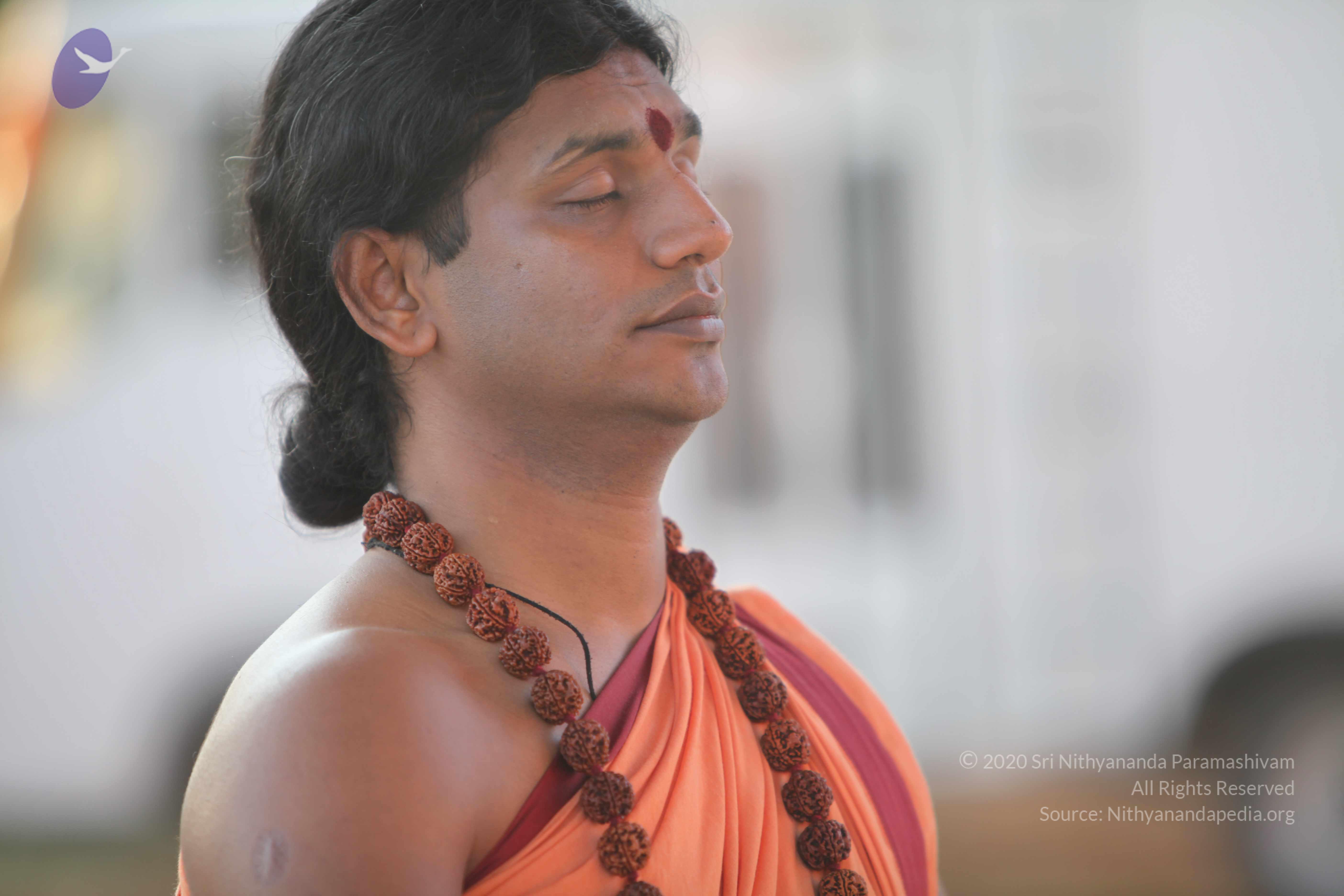 20110202_Photo_1169_IMG_3152_CMP_WM