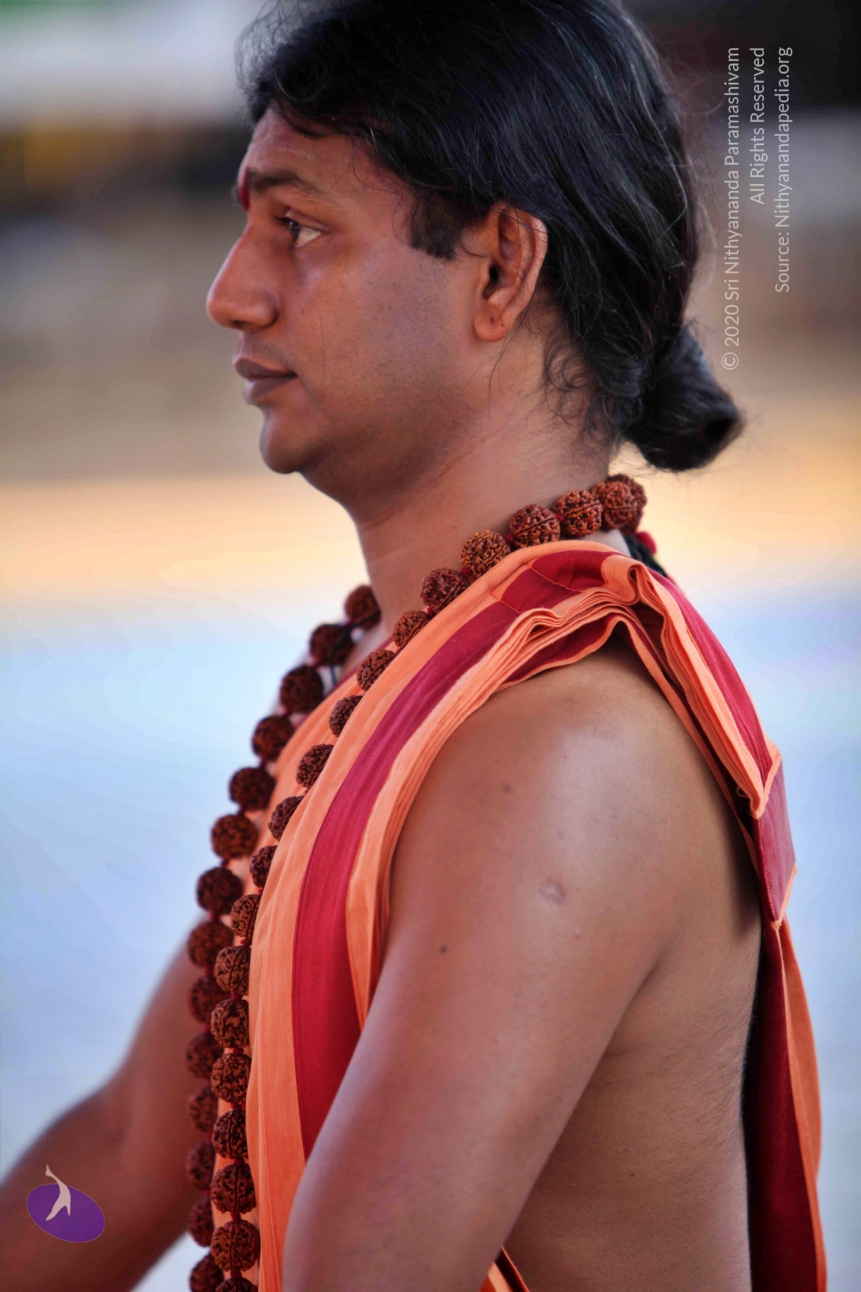 20110202_Photo_1171_IMG_3186_CMP_WM