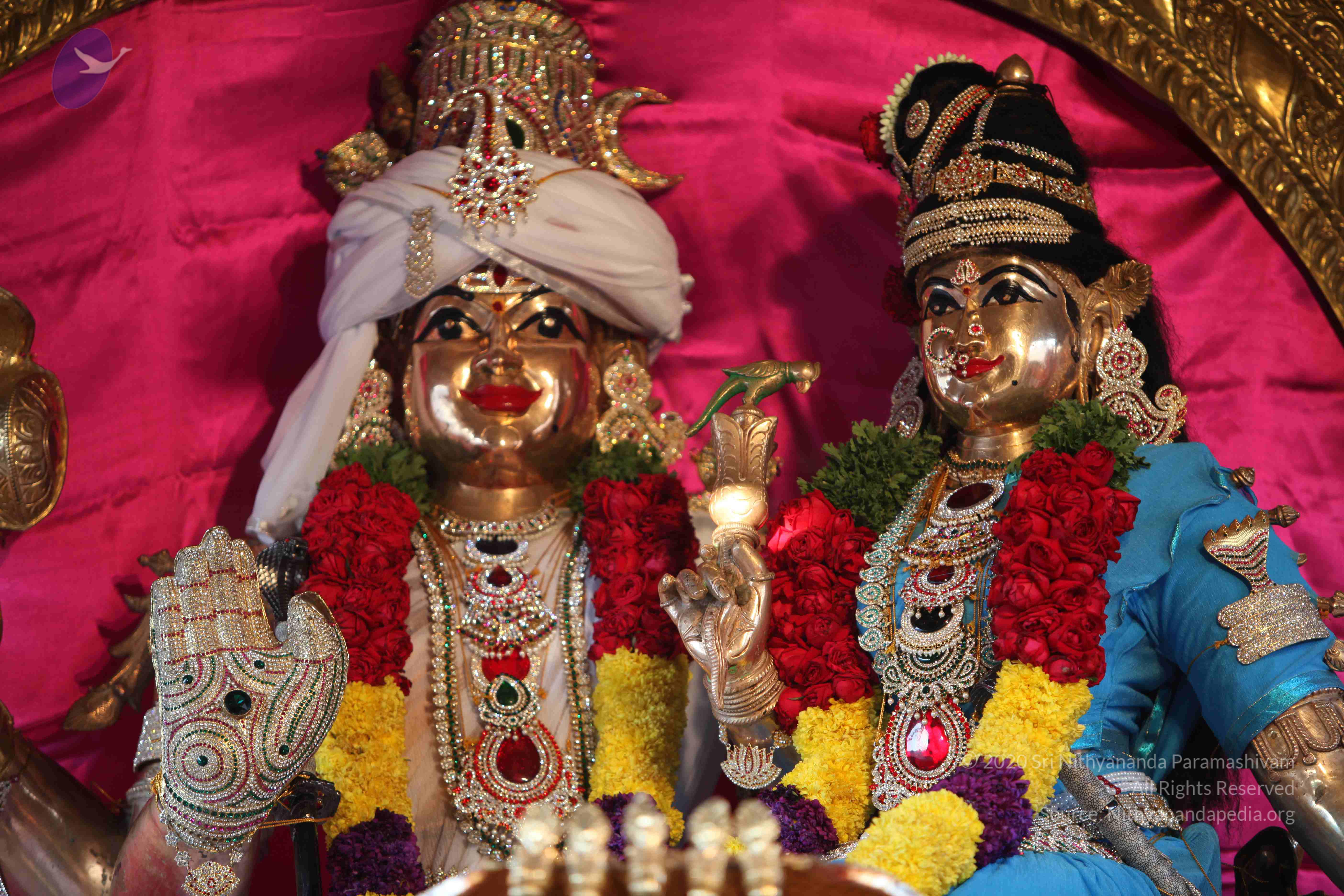 20110202_Photo_1172_IMG_3038_CMP_WM