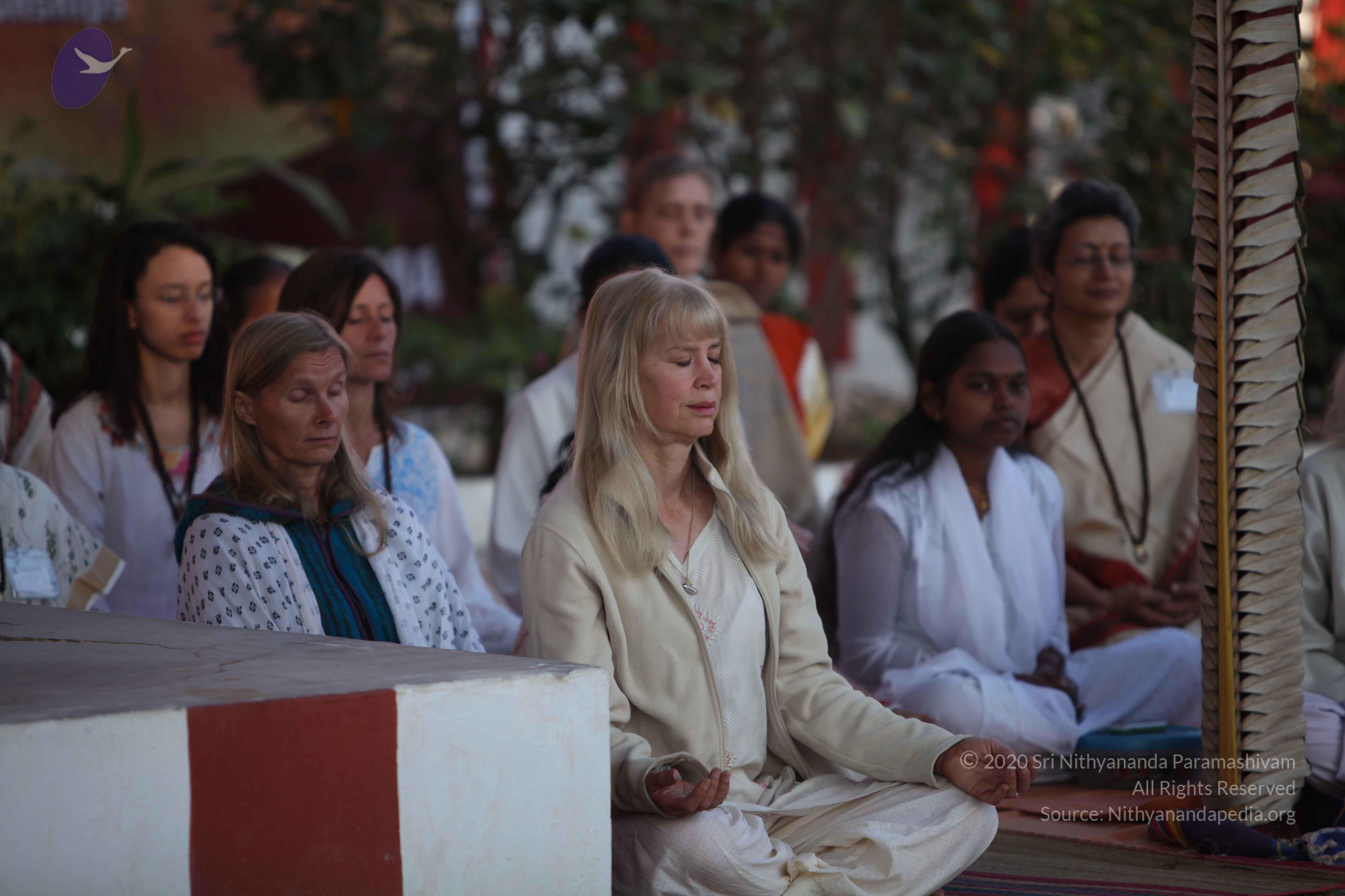 20110202_Photo_1173_IMG_3179_CMP_WM