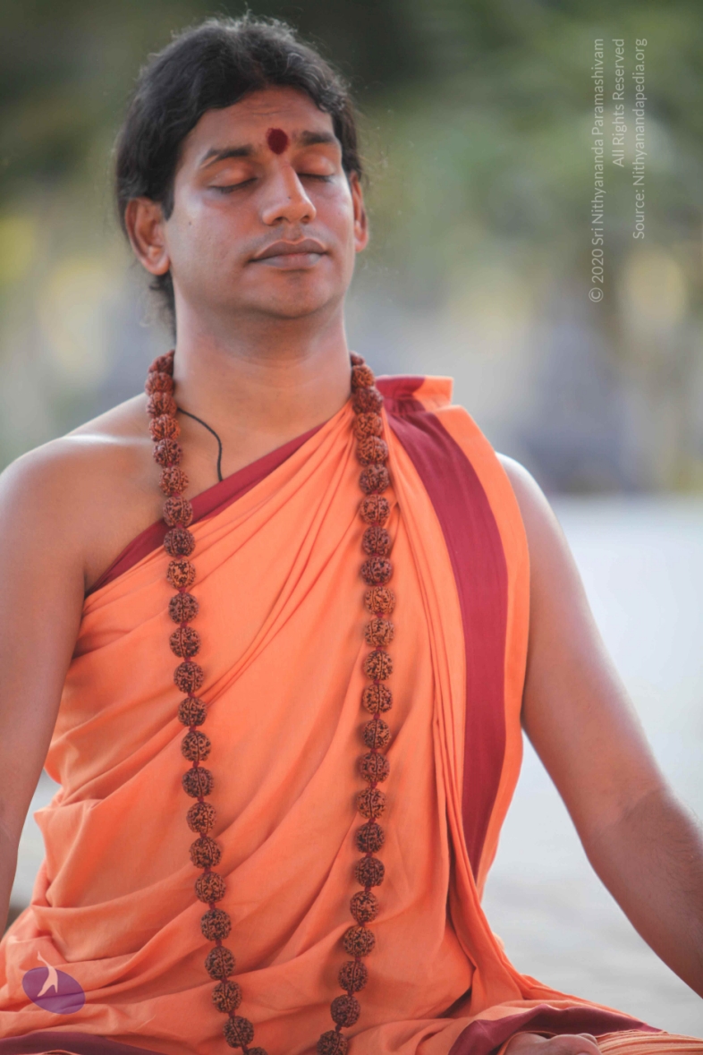 20110202_Photo_1175_IMG_3168_CMP_WM